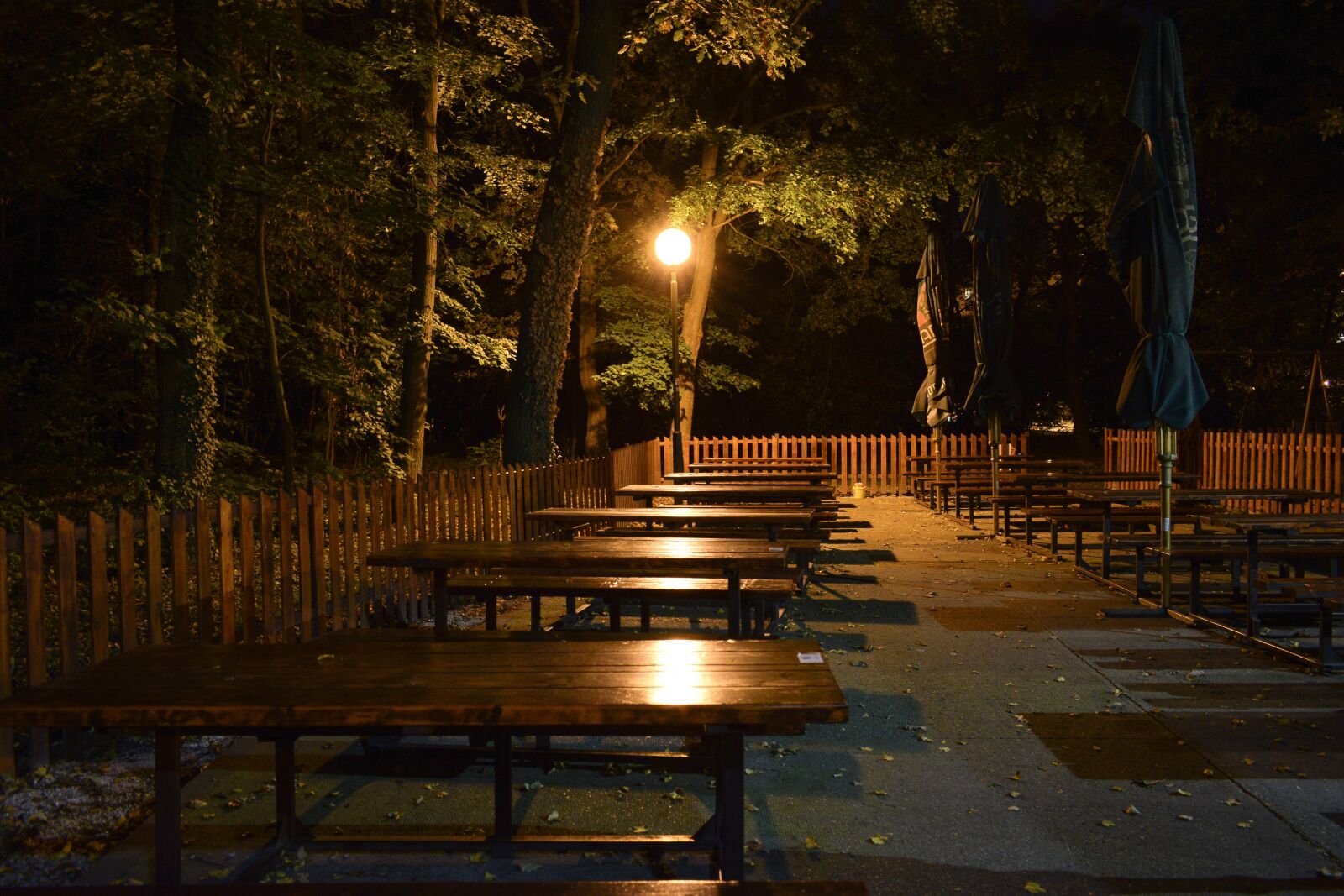 Nikon D3300 sample photo. Night, pub, night pub photography