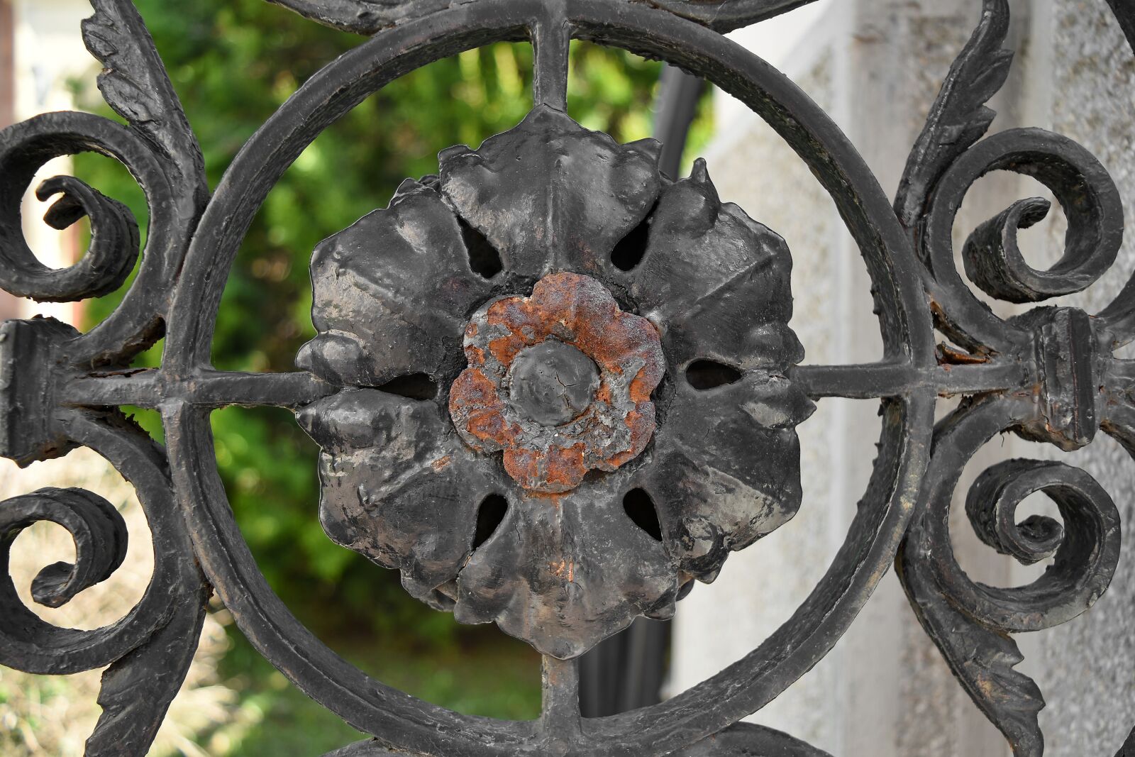 Nikon D5500 sample photo. Art, cast iron, flower photography