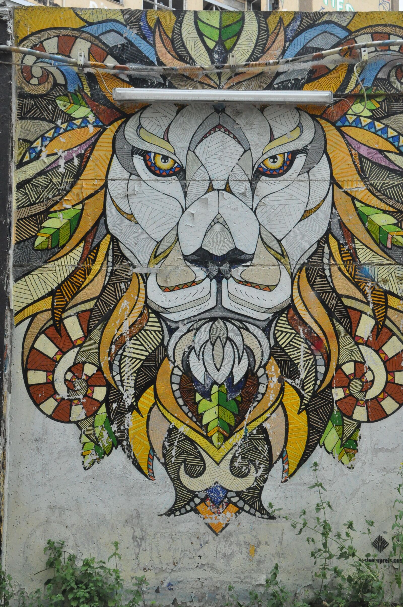 Nikon D5000 sample photo. Street art, graffiti, wall photography