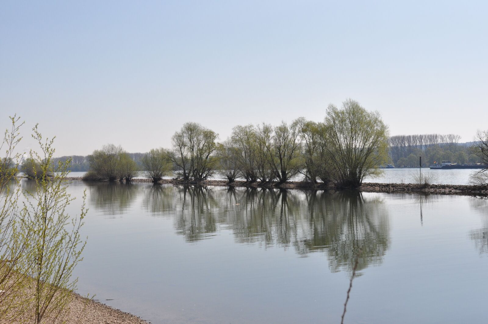 Nikon D90 sample photo. Trees, mirror image, nature photography