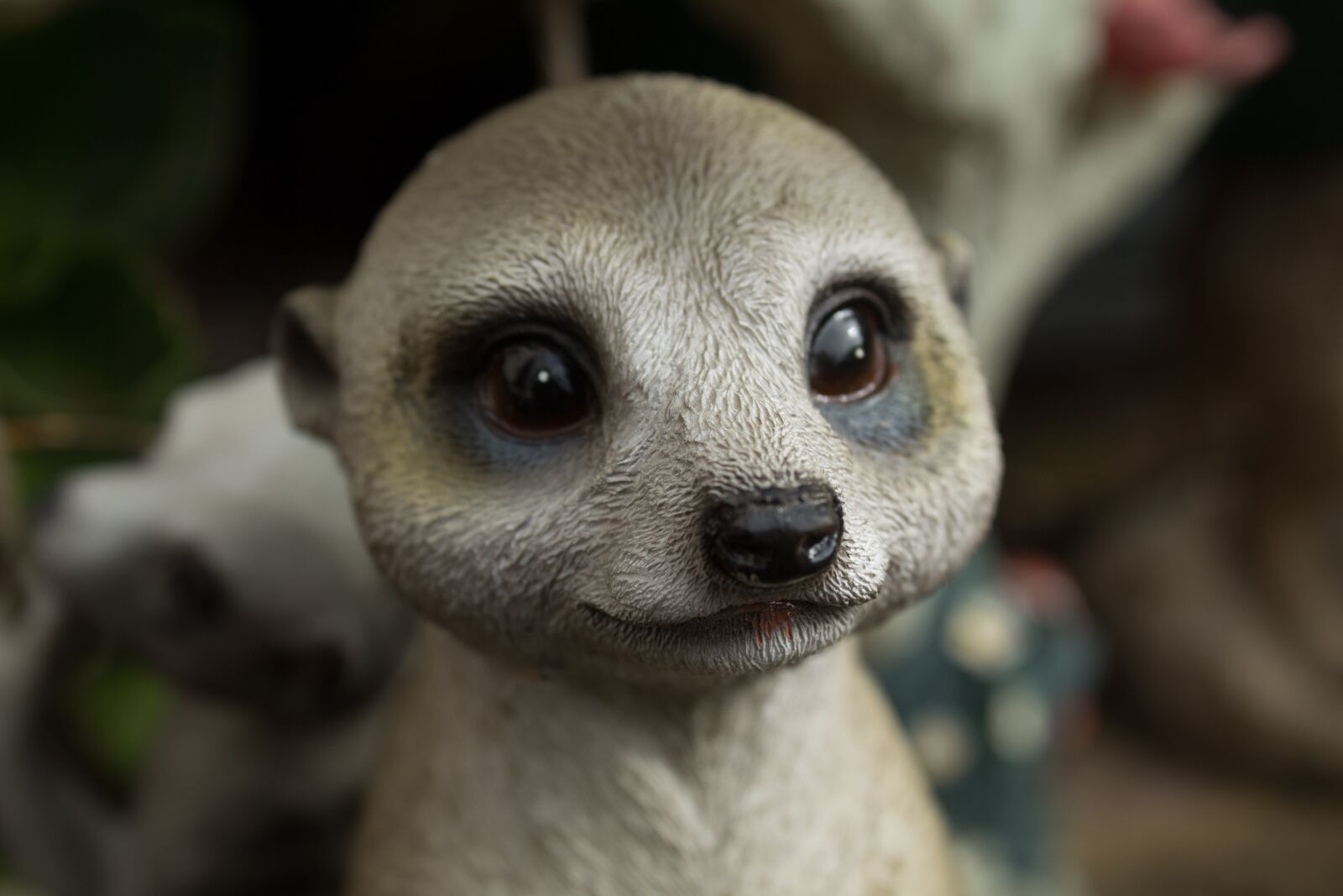Canon EOS 1300D (EOS Rebel T6 / EOS Kiss X80) sample photo. Meerkat, cute, rodent photography