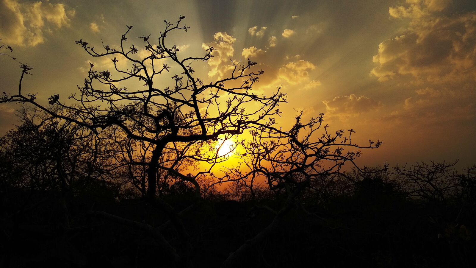 Xiaomi Mi A1 sample photo. Dawn, morning, sun photography
