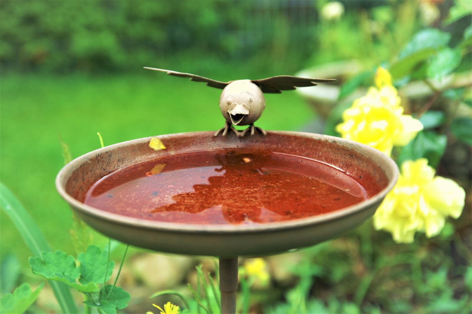KONICA MINOLTA DYNAX 7D sample photo. Bird, easter, spring photography