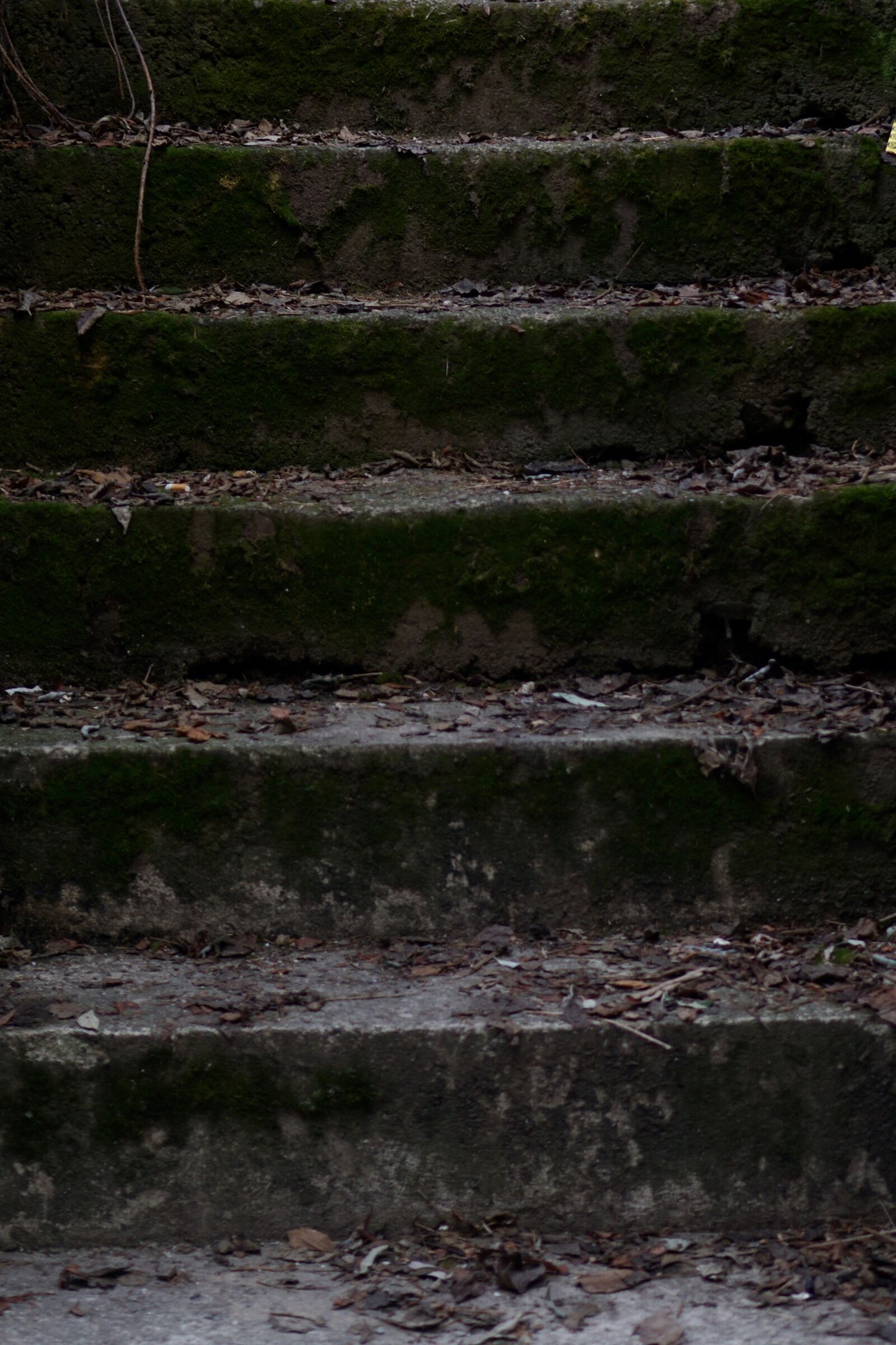 Sony a6000 + Sony E 35mm F1.8 OSS sample photo. Stairs, gradually, background photography