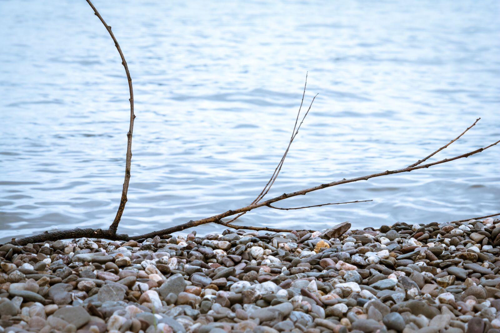 Samsung NX 50-200mm F4-5.6 ED OIS sample photo. Pebble, branch, beach photography