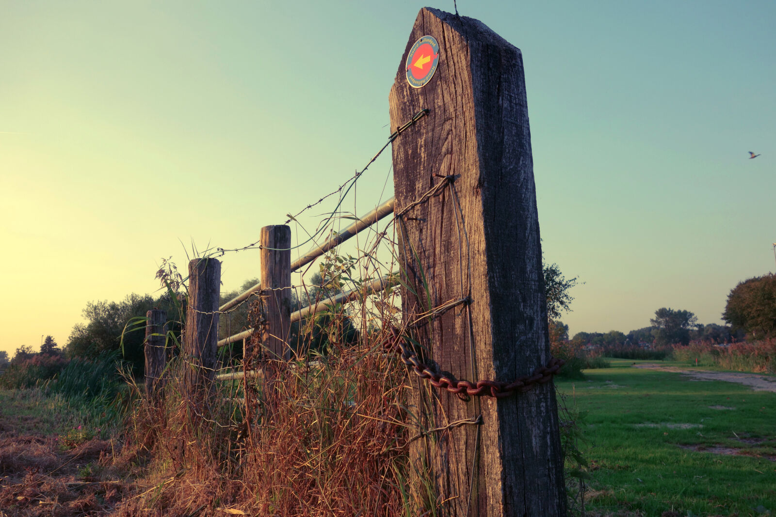 Sony Cyber-shot DSC-RX100 sample photo. Arrow, barbed, wire, chain photography