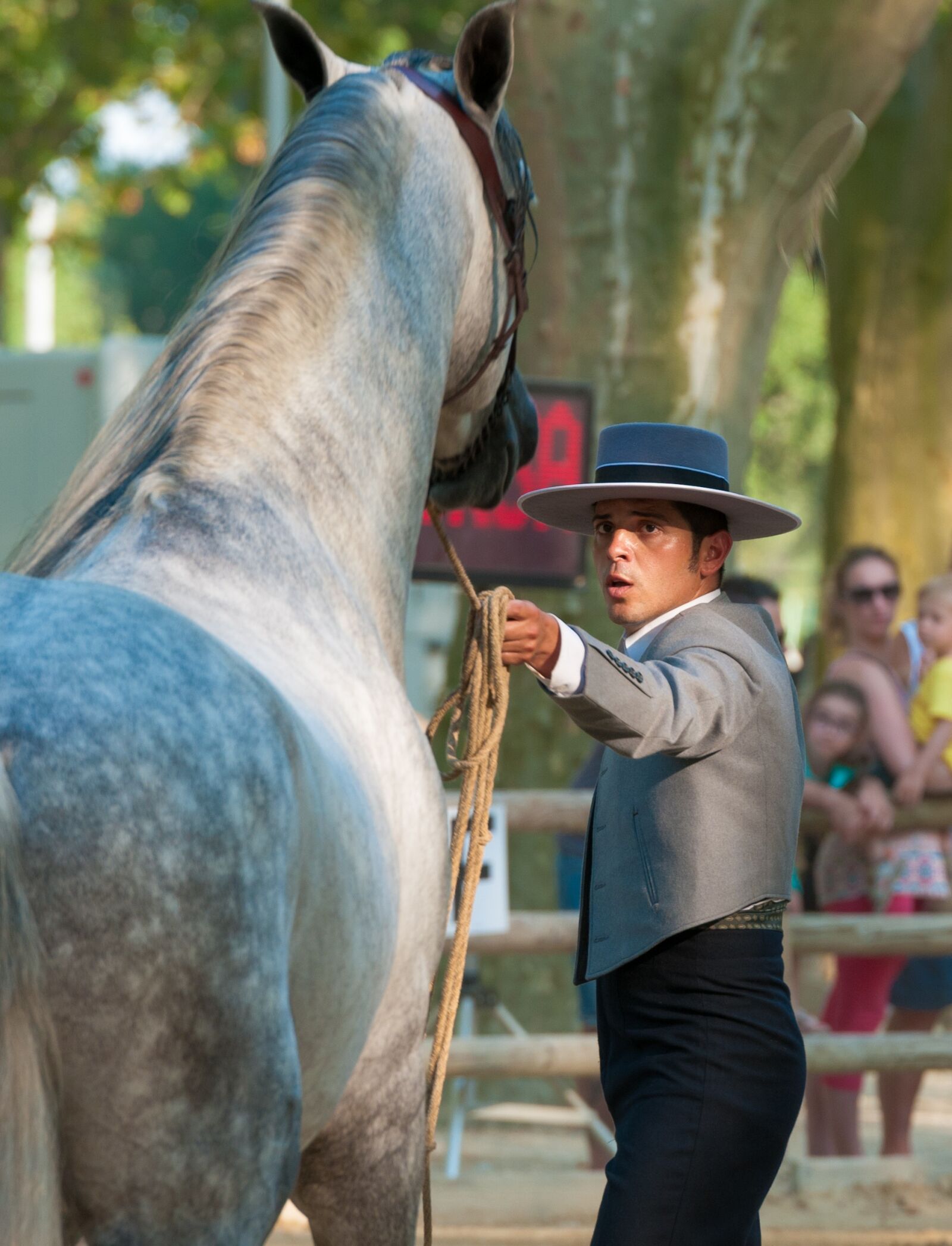 Nikon D300S sample photo. Horse, horseback riding, contest photography