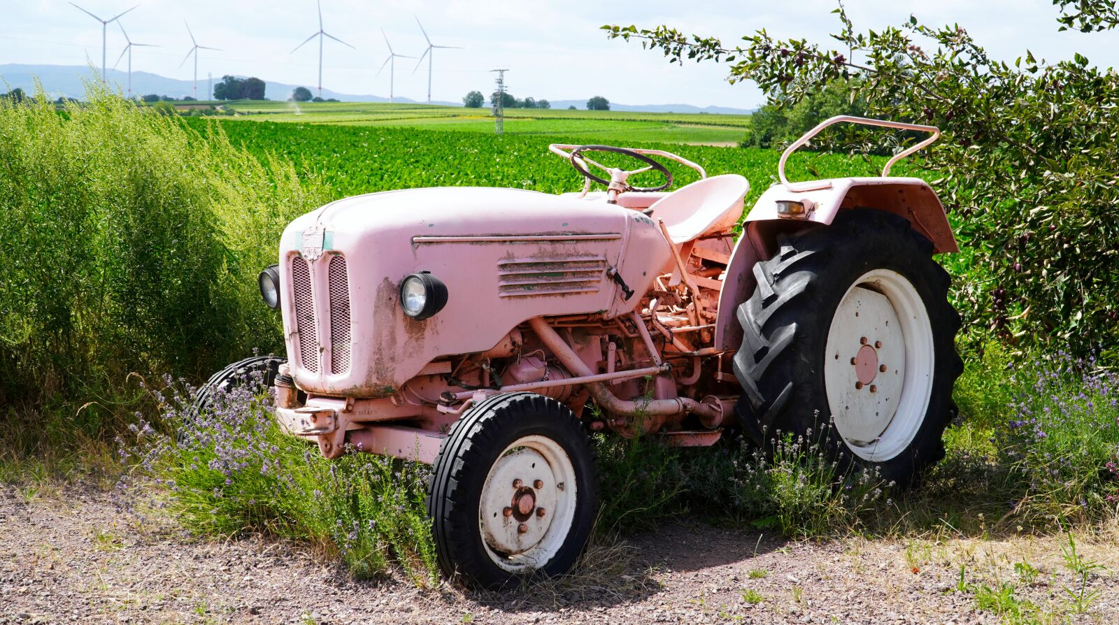 Sony a6400 + Sony E PZ 18-105mm F4 G OSS sample photo. Tractor, pink, farm photography