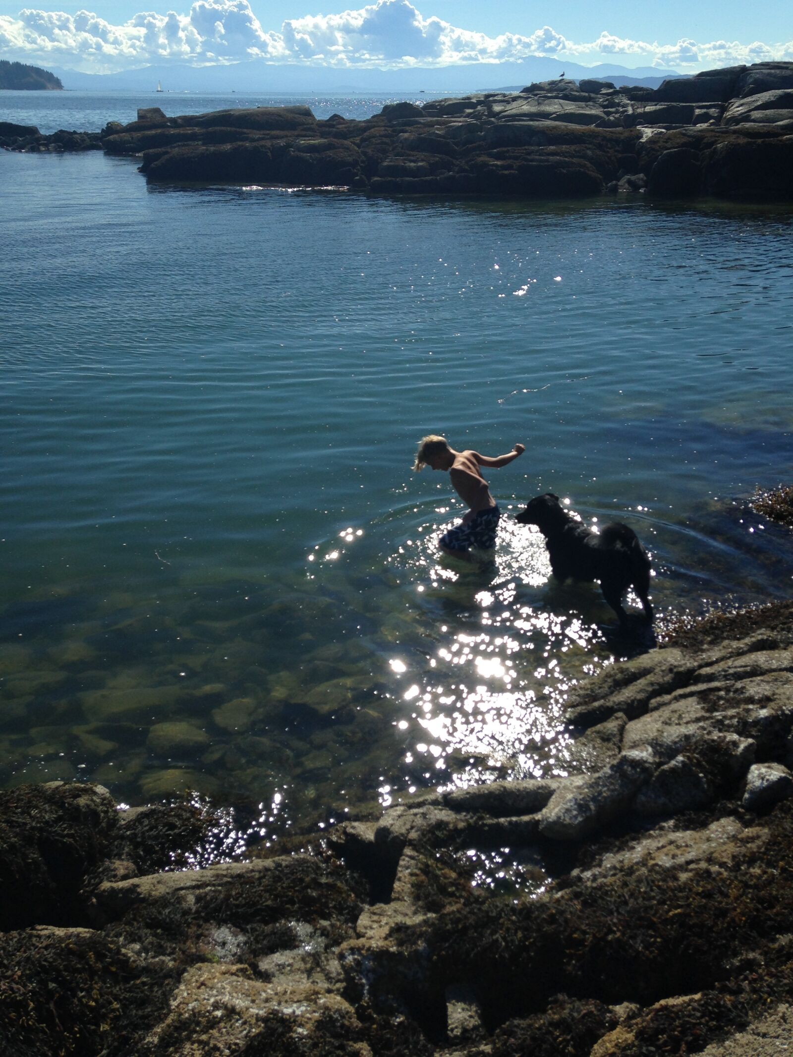 iPhone 5c back camera 4.12mm f/2.4 sample photo. Boy, dog, ocean photography