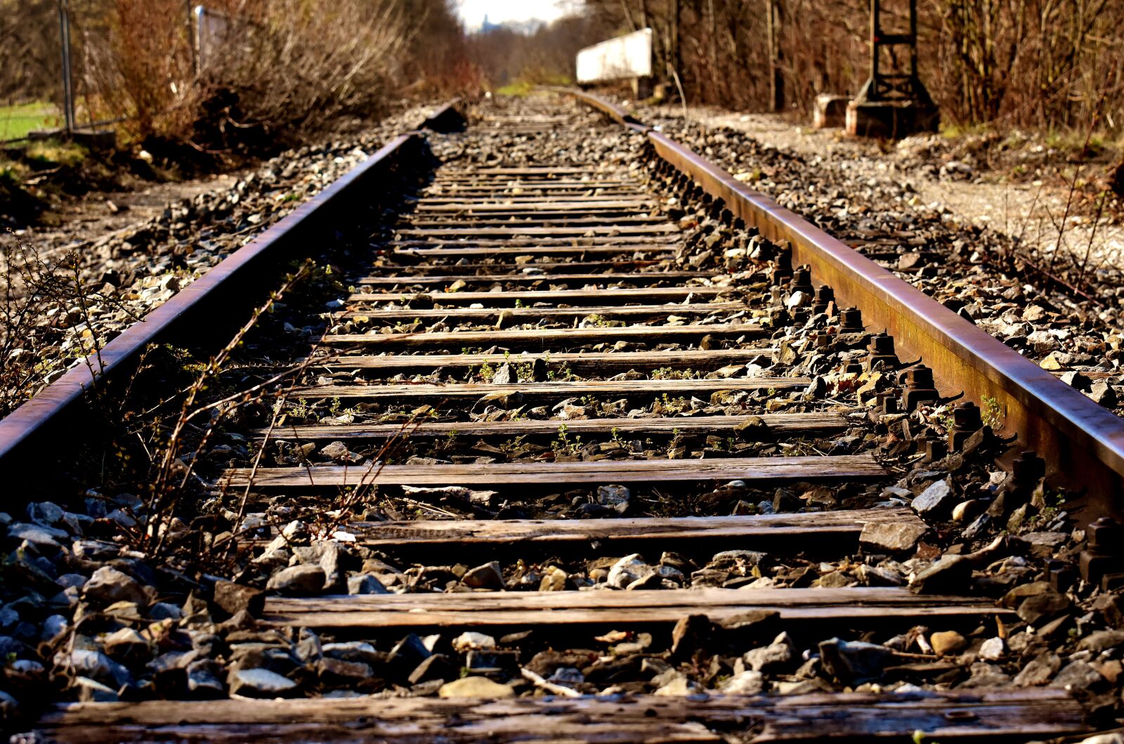 Nikon D7200 sample photo. Rails, old railroad tracks photography