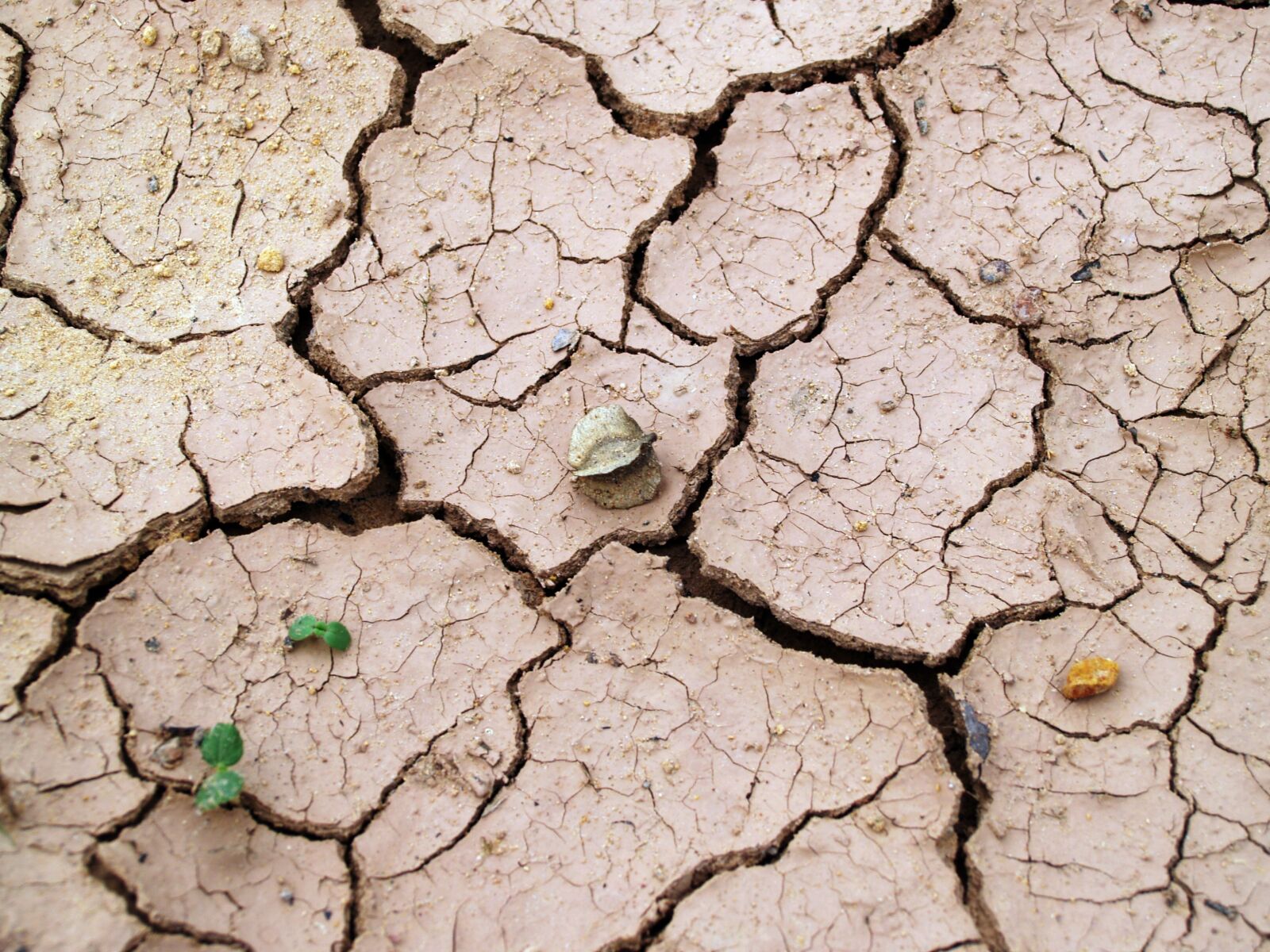 Olympus E-300 (EVOLT E-300) sample photo. Arid, barren, clay, cracks photography