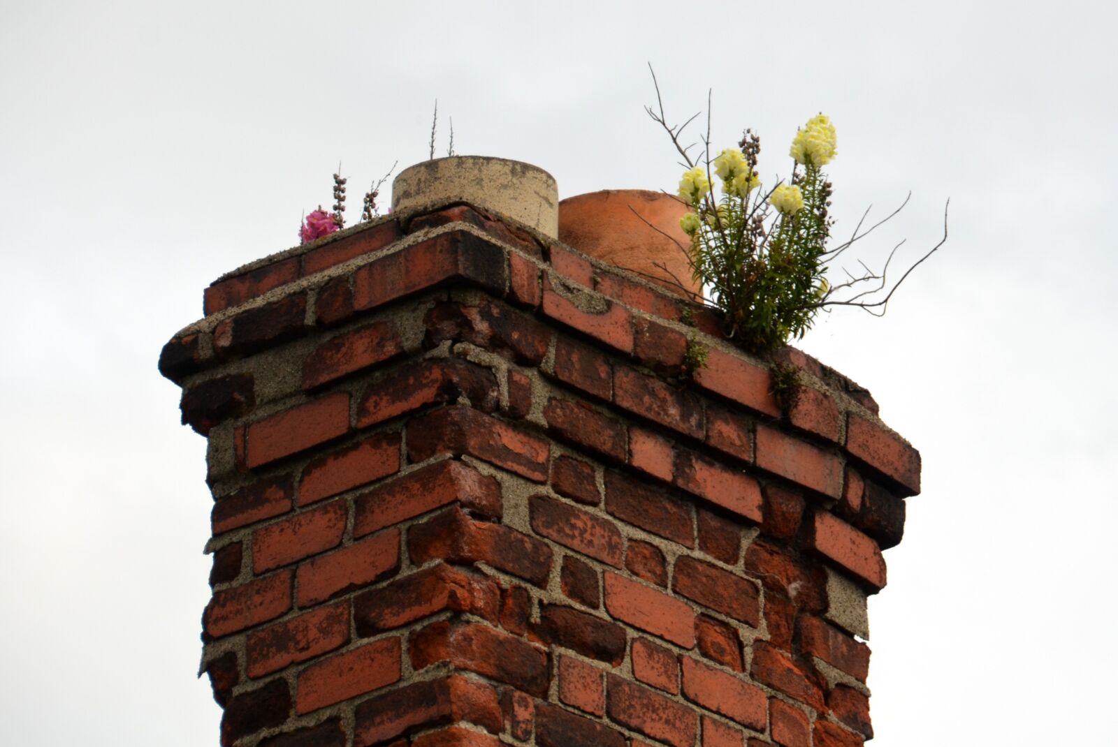 Nikon D5100 sample photo. Chimney, flowers, fireplace photography
