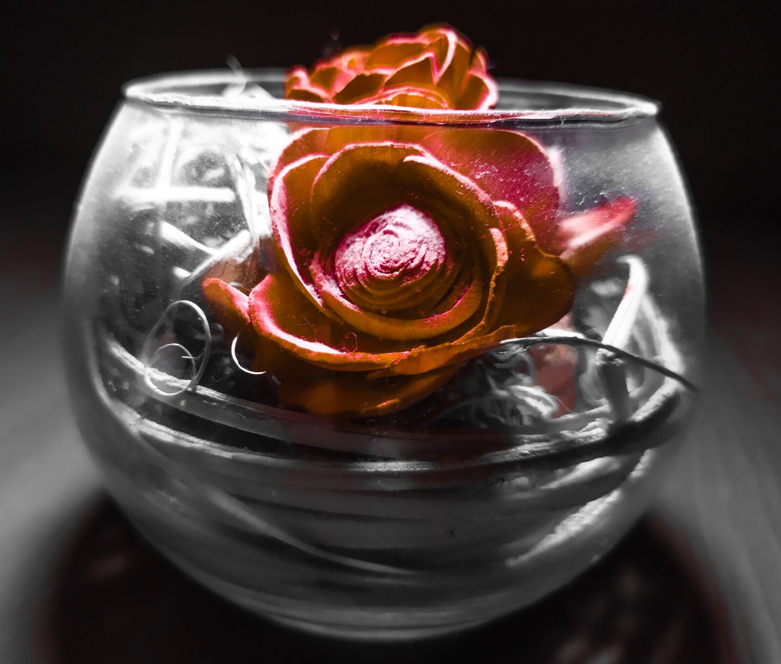 Xiaomi Redmi Note 7 sample photo. Indoor, rose, vase photography