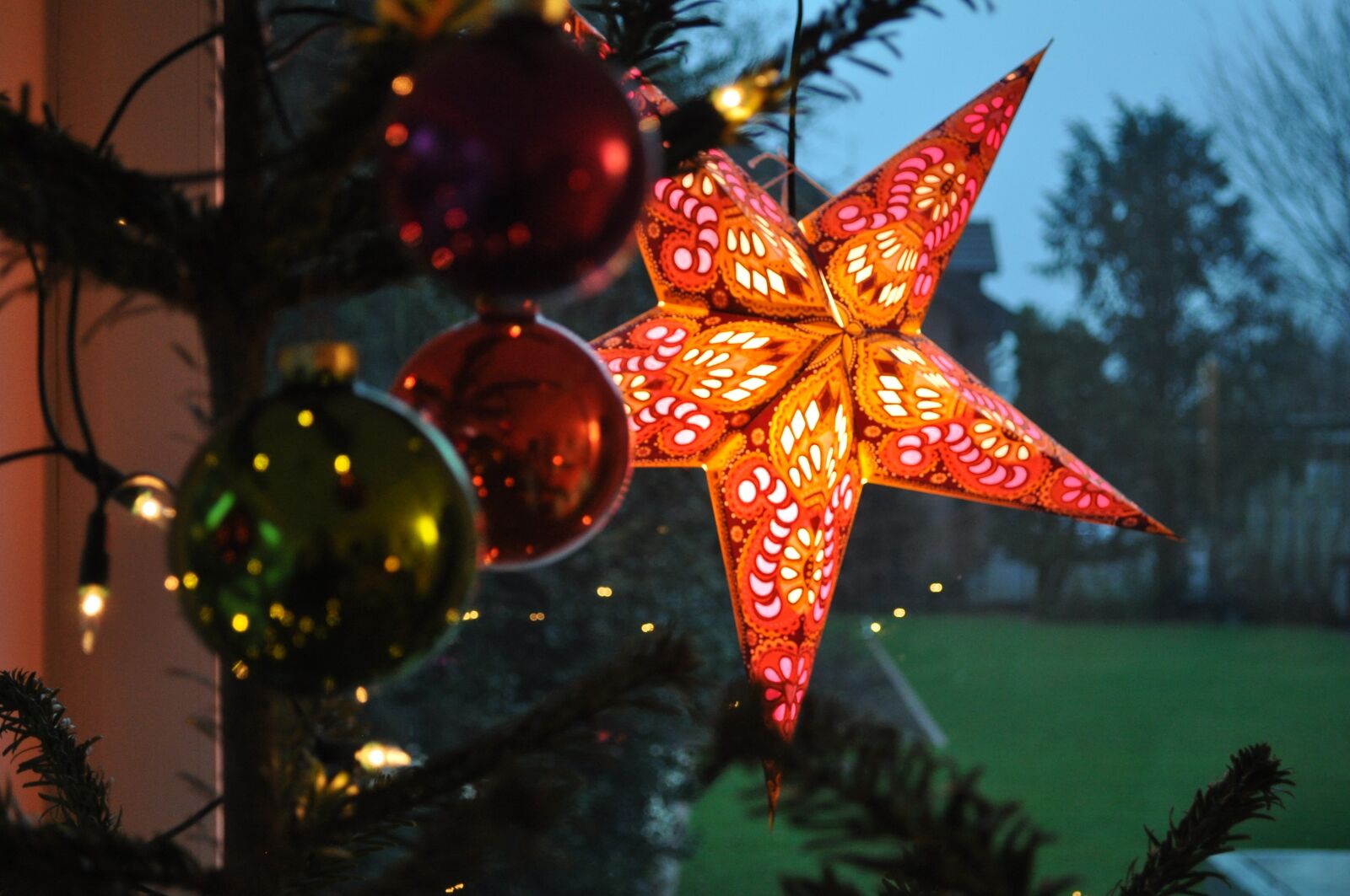 Nikon D5000 sample photo. Christmas, deco, star photography