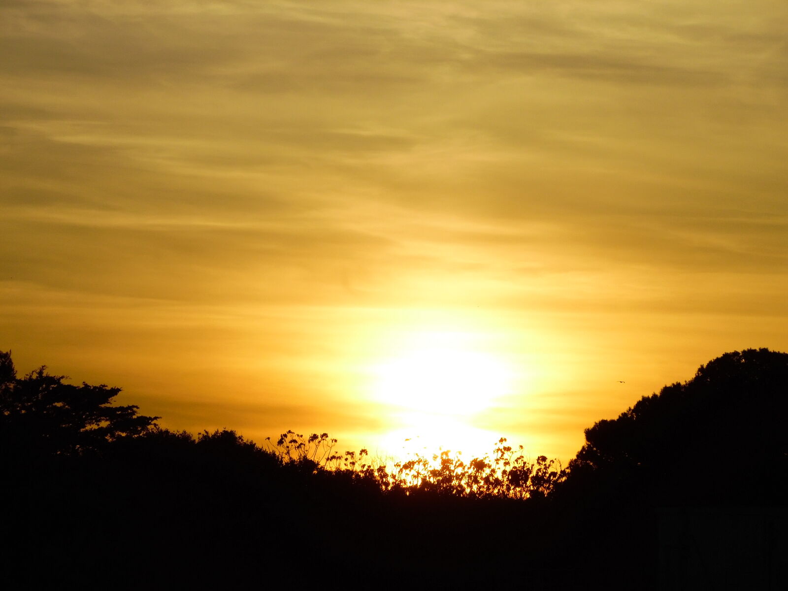 Samsung WB1100F/WB1101F/WB1102F sample photo