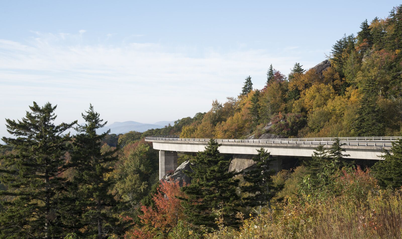 Nikon D610 sample photo. Fall, leaves, autumn photography