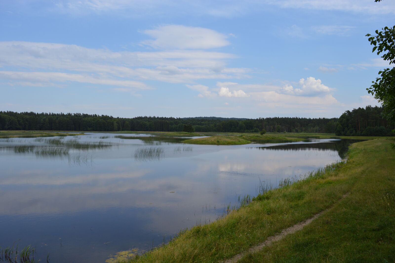 Nikon D3200 sample photo. Zwierzyniec, echo, mite photography