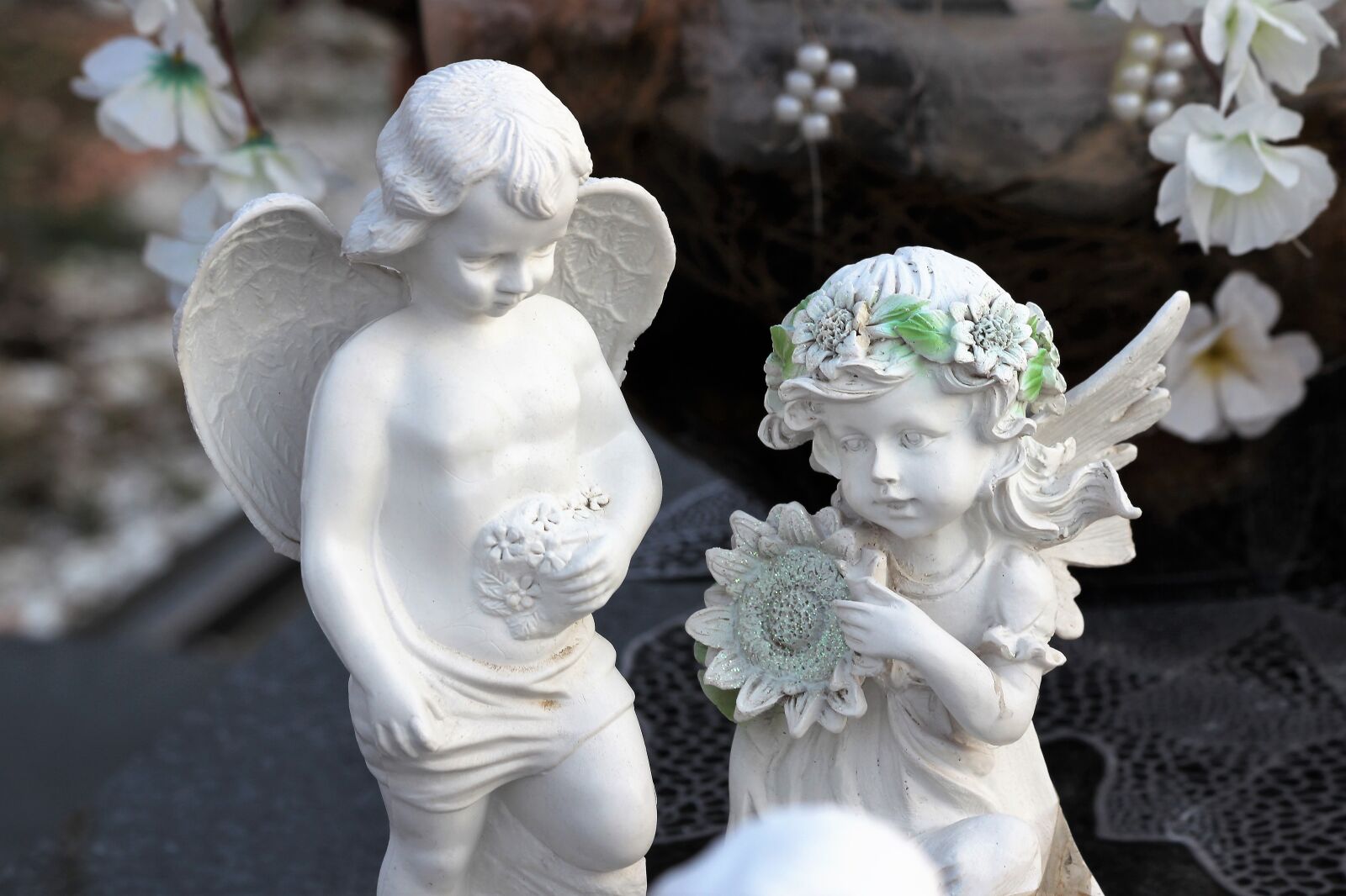 Canon EOS 600D (Rebel EOS T3i / EOS Kiss X5) + Canon EF 70-300mm F4-5.6 IS USM sample photo. Angels, boy, girl photography