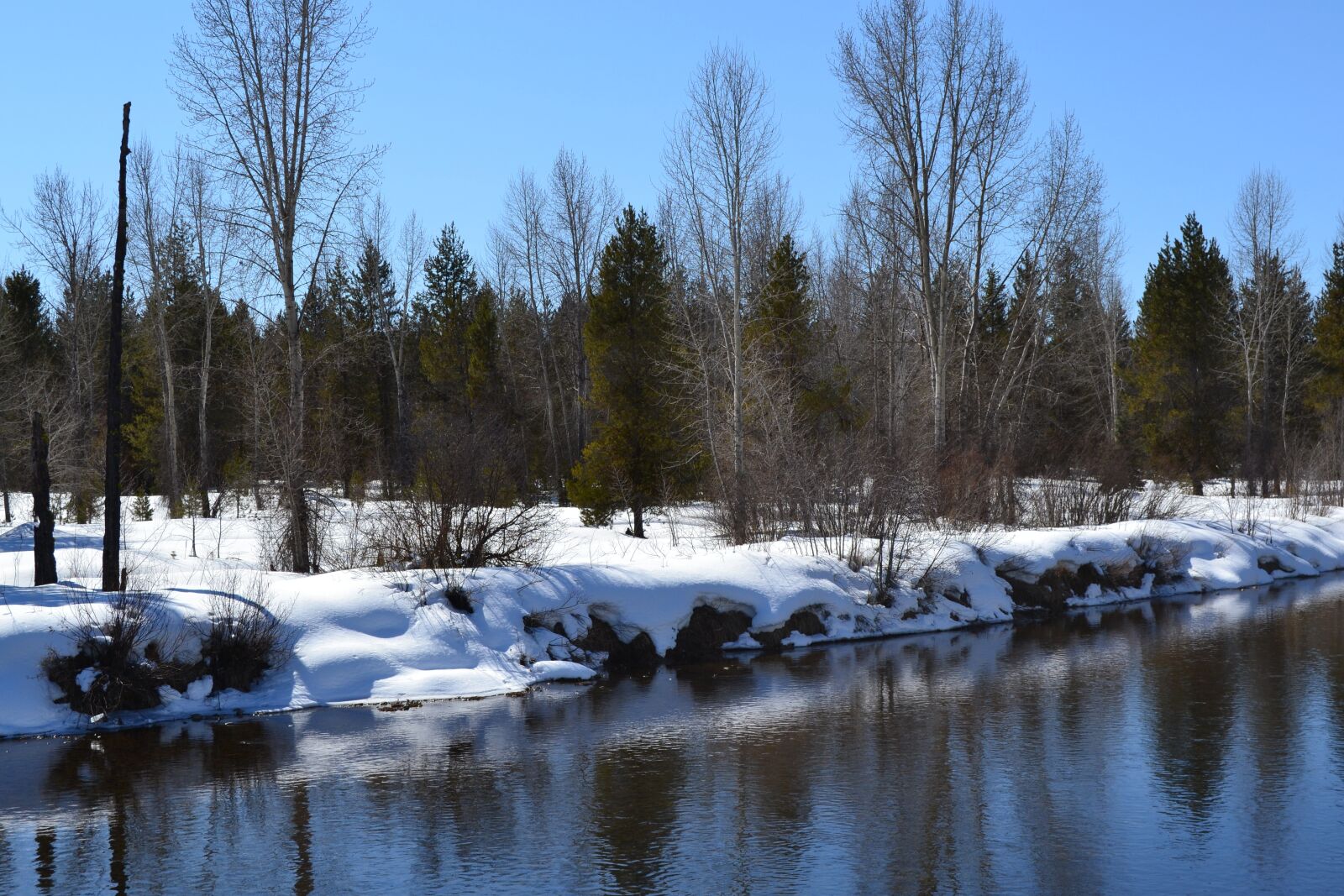 Nikon D3100 sample photo. Winter, river, snow photography