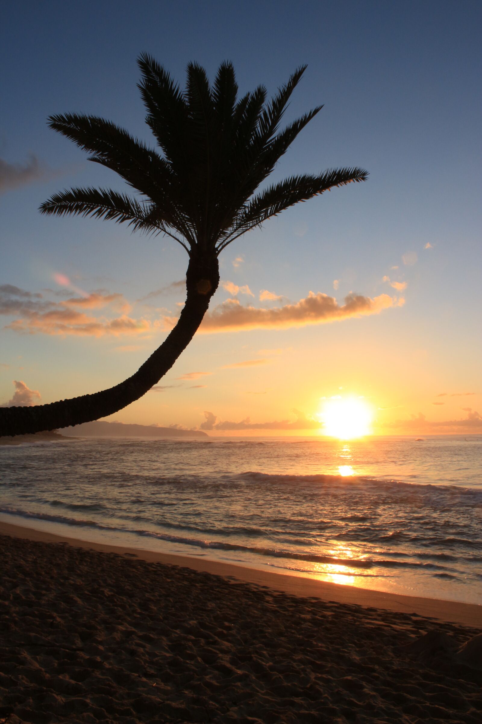 Canon EOS 650D (EOS Rebel T4i / EOS Kiss X6i) sample photo. Sunset, sunsetbeach, palm photography