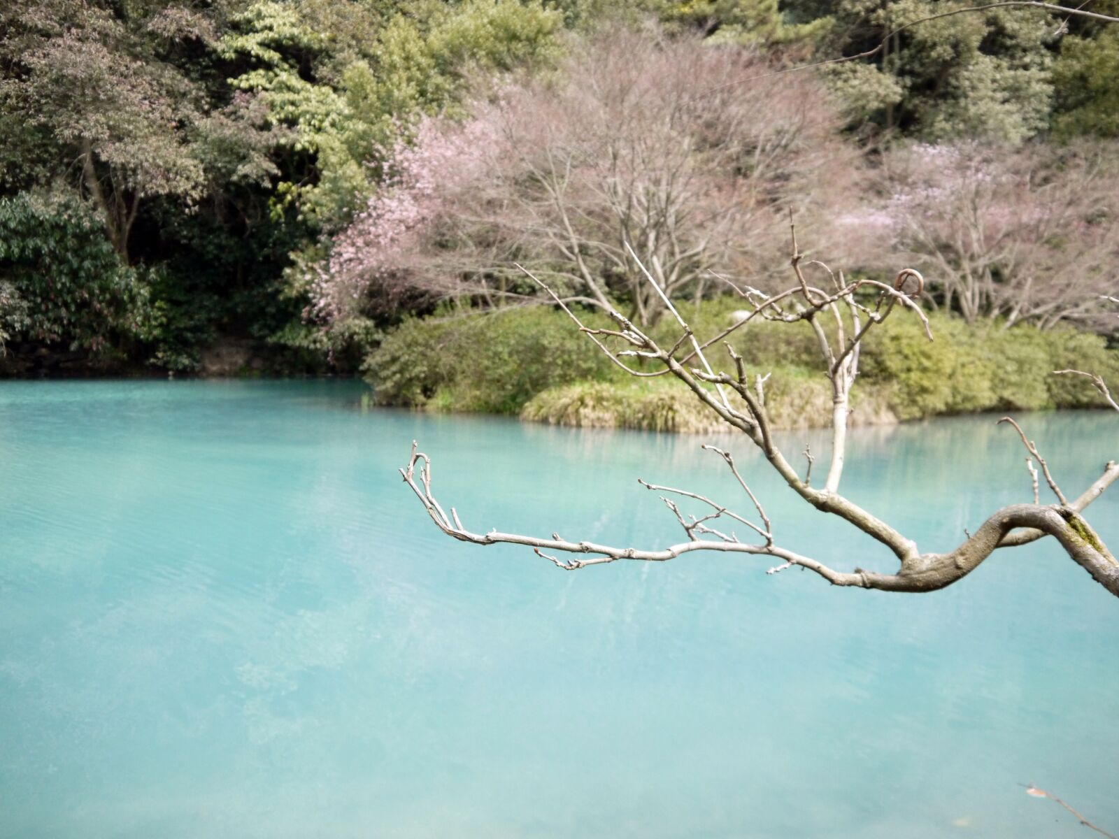 Panasonic Lumix DMC-GF3 sample photo. Lake, hangzhou, the scenery photography