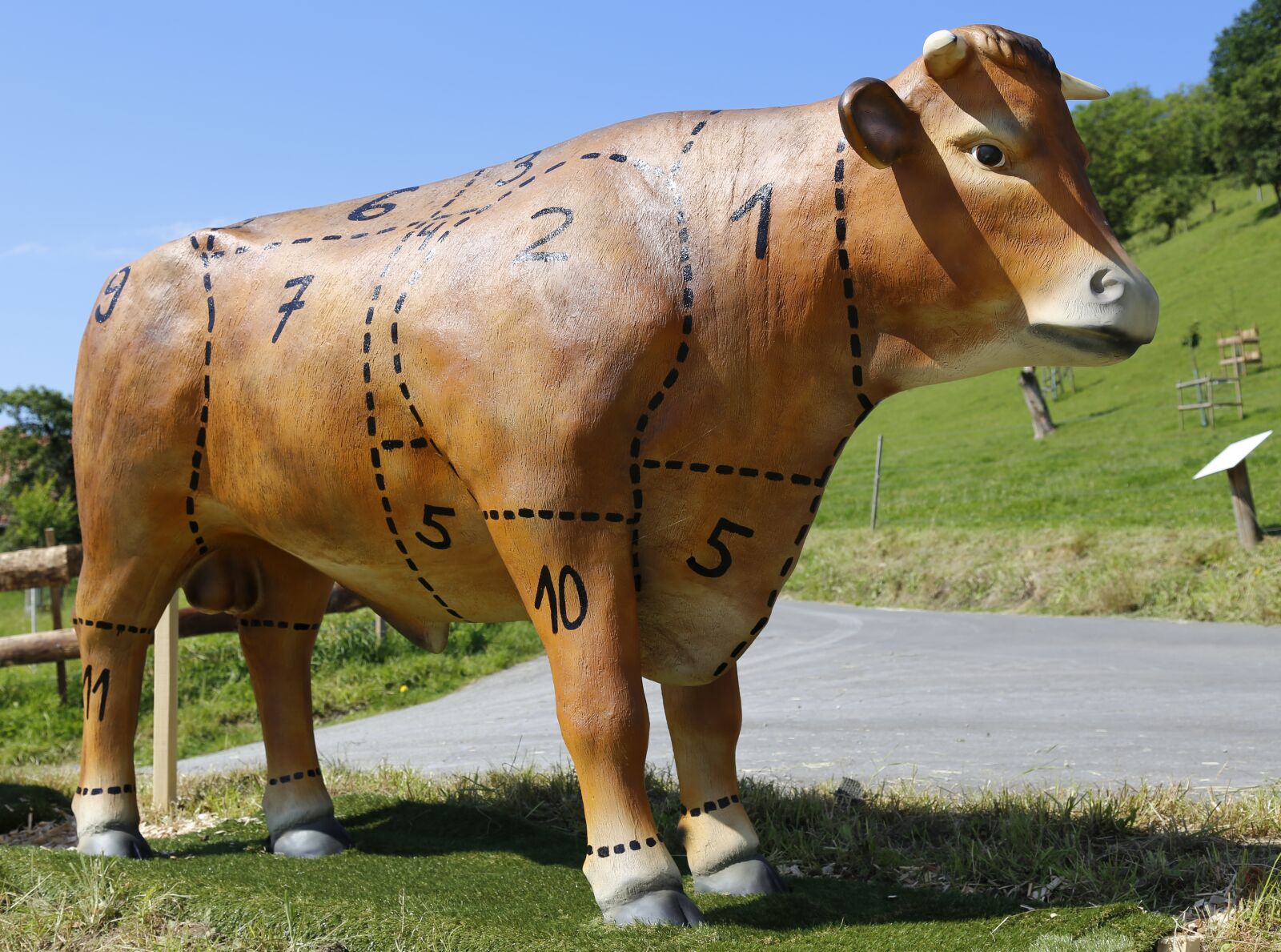 Canon EOS 6D sample photo. Beef, meat, cattle photography