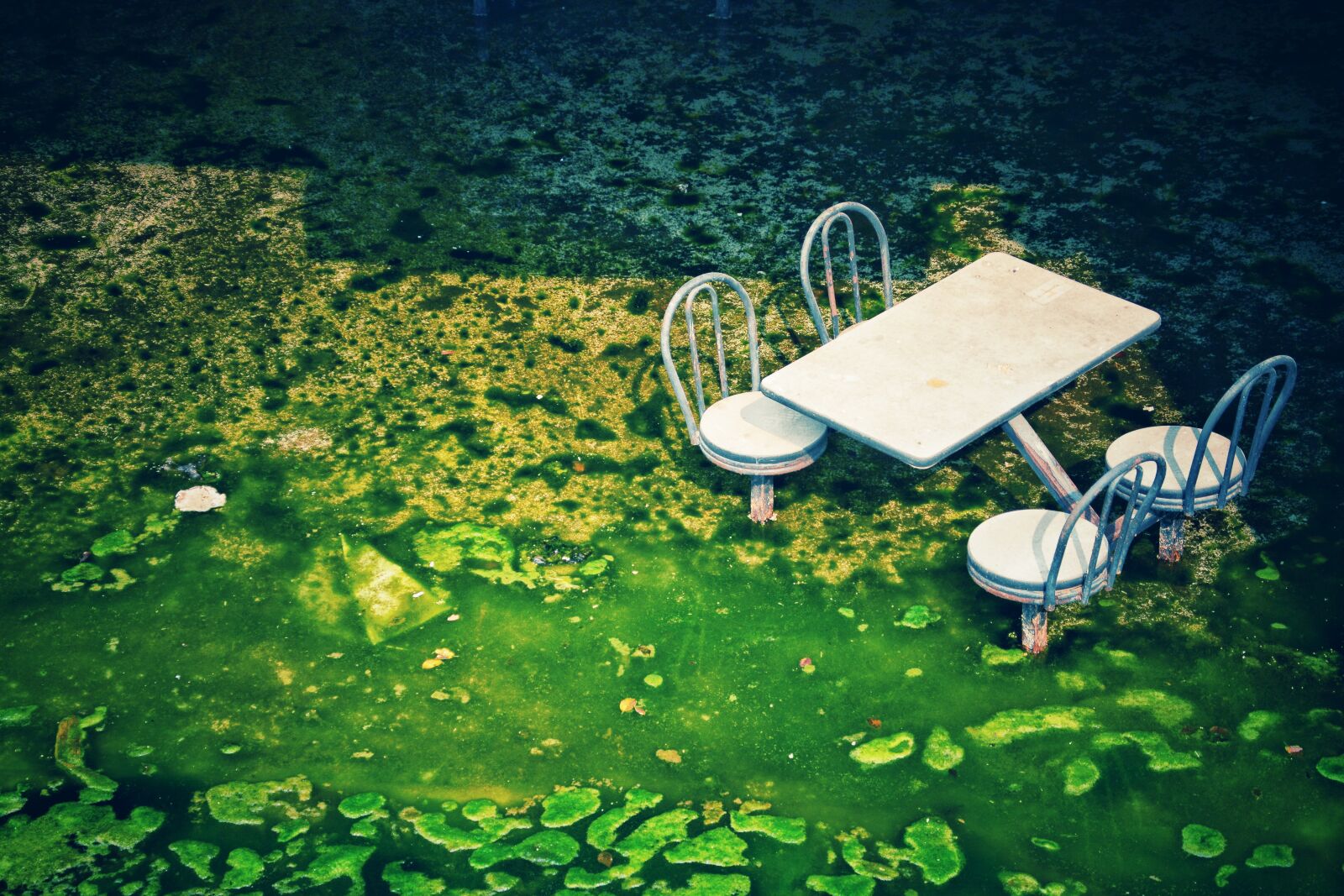 Nikon D7100 sample photo. Nature, waters, wood photography