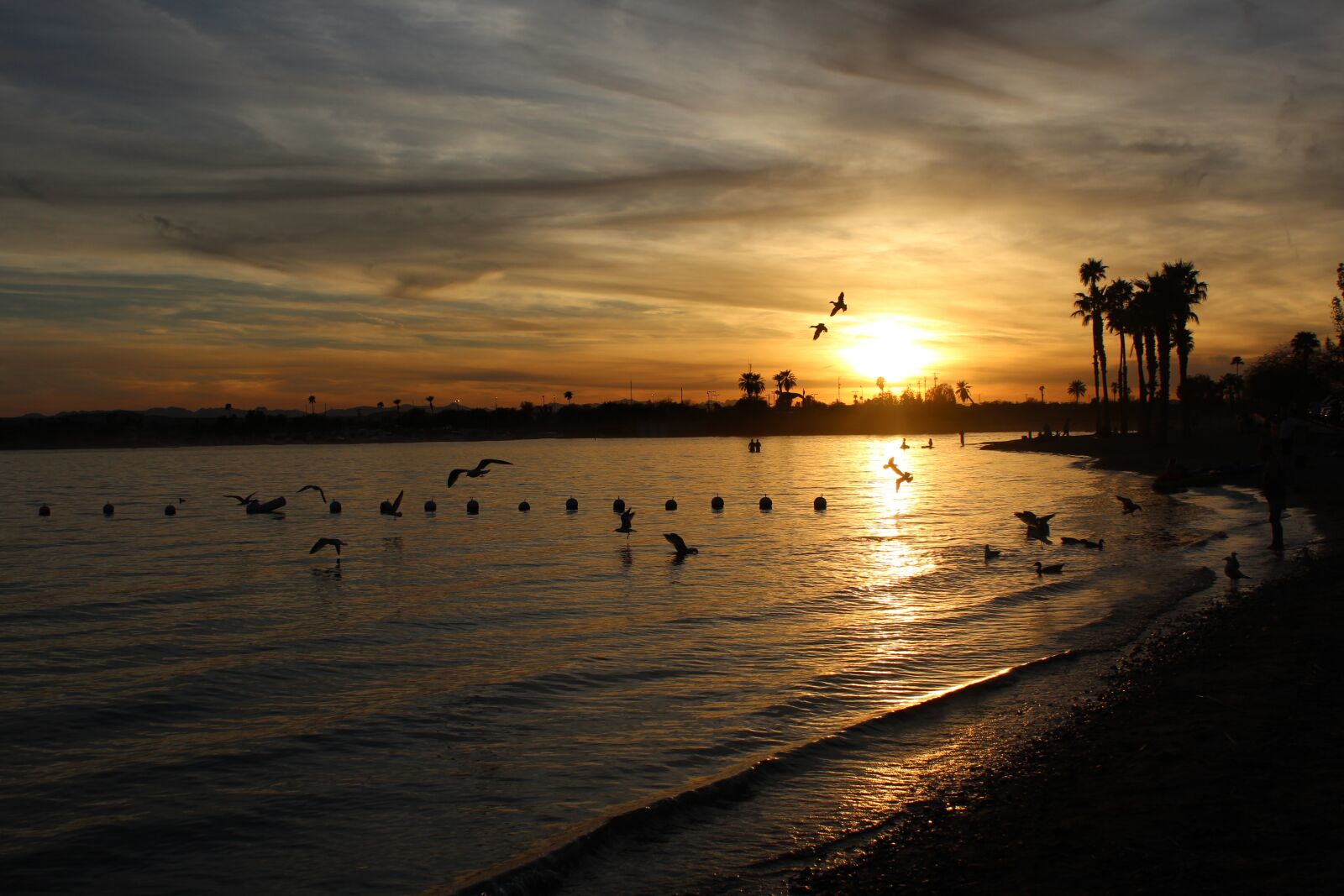 Canon EOS 1200D (EOS Rebel T5 / EOS Kiss X70 / EOS Hi) sample photo. Sunset, arizona, lake photography