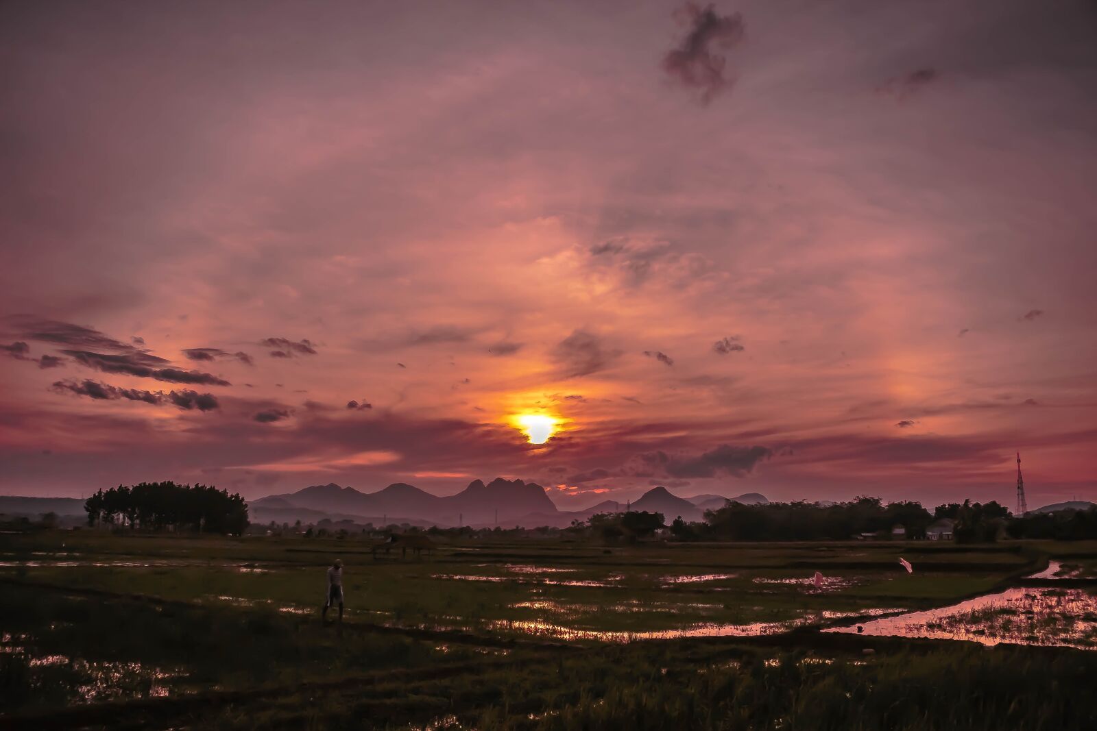 Canon EOS 100D (EOS Rebel SL1 / EOS Kiss X7) sample photo. Field, rain, twilight photography