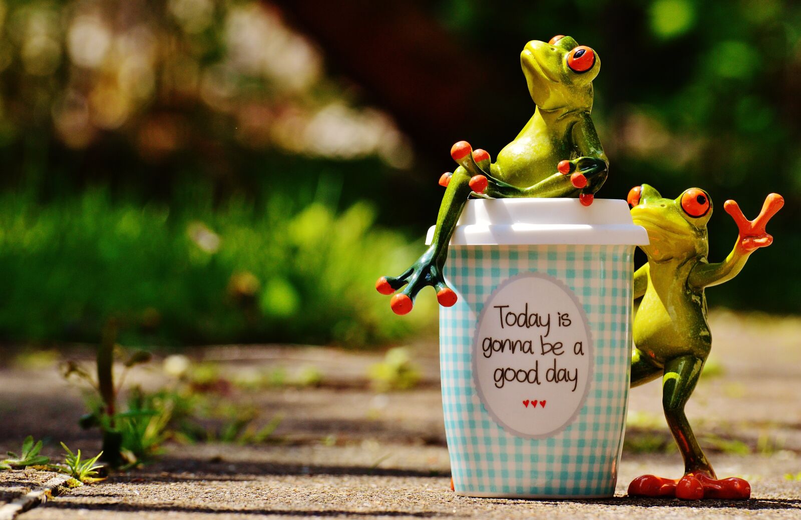 Nikon D3200 sample photo. Beautiful day, joy, frog photography