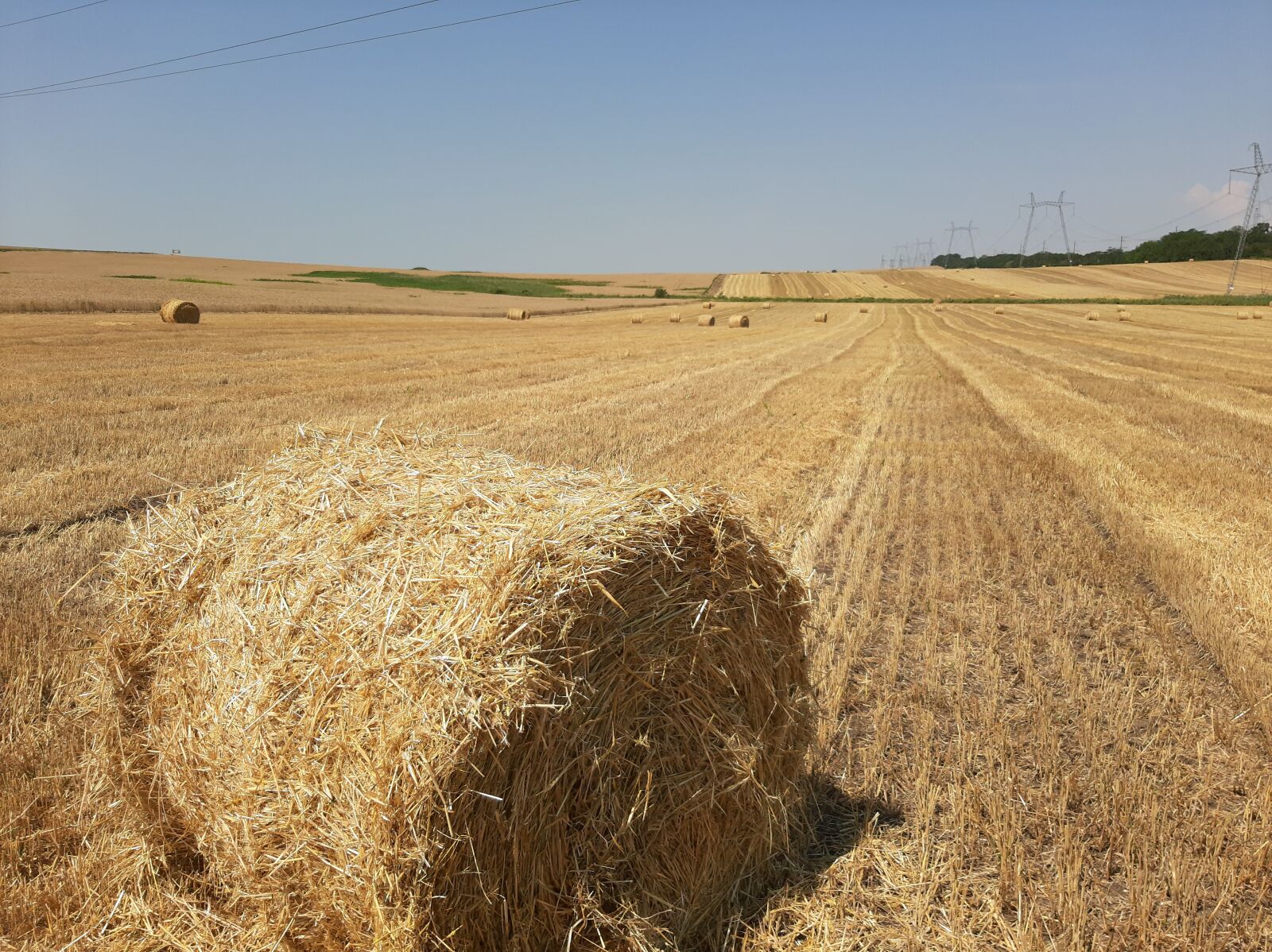 Samsung Galaxy A50 sample photo. Field, roll, straw photography