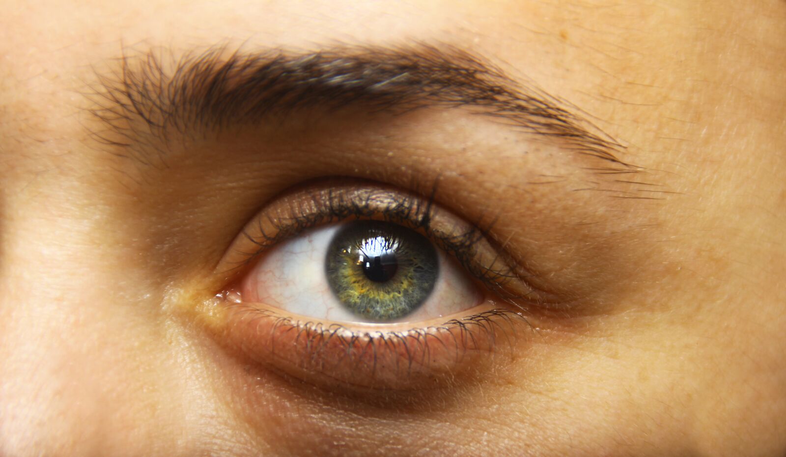 Canon EOS 600D (Rebel EOS T3i / EOS Kiss X5) sample photo. œil, eyes, iris photography