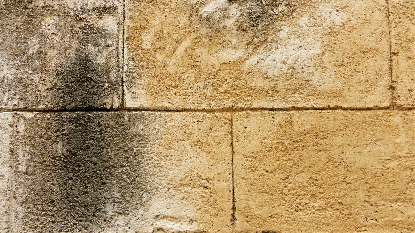 Panasonic Lumix DMC-ZS25 (Lumix DMC-TZ35) sample photo. Wallpaper, at the age photography