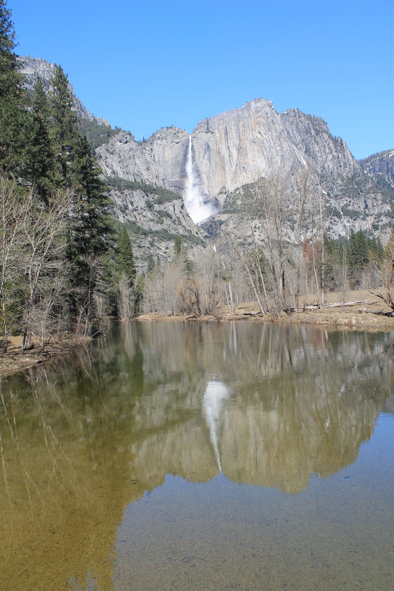 Canon EOS 1100D (EOS Rebel T3 / EOS Kiss X50) sample photo. El capitan, yosemite, tree photography