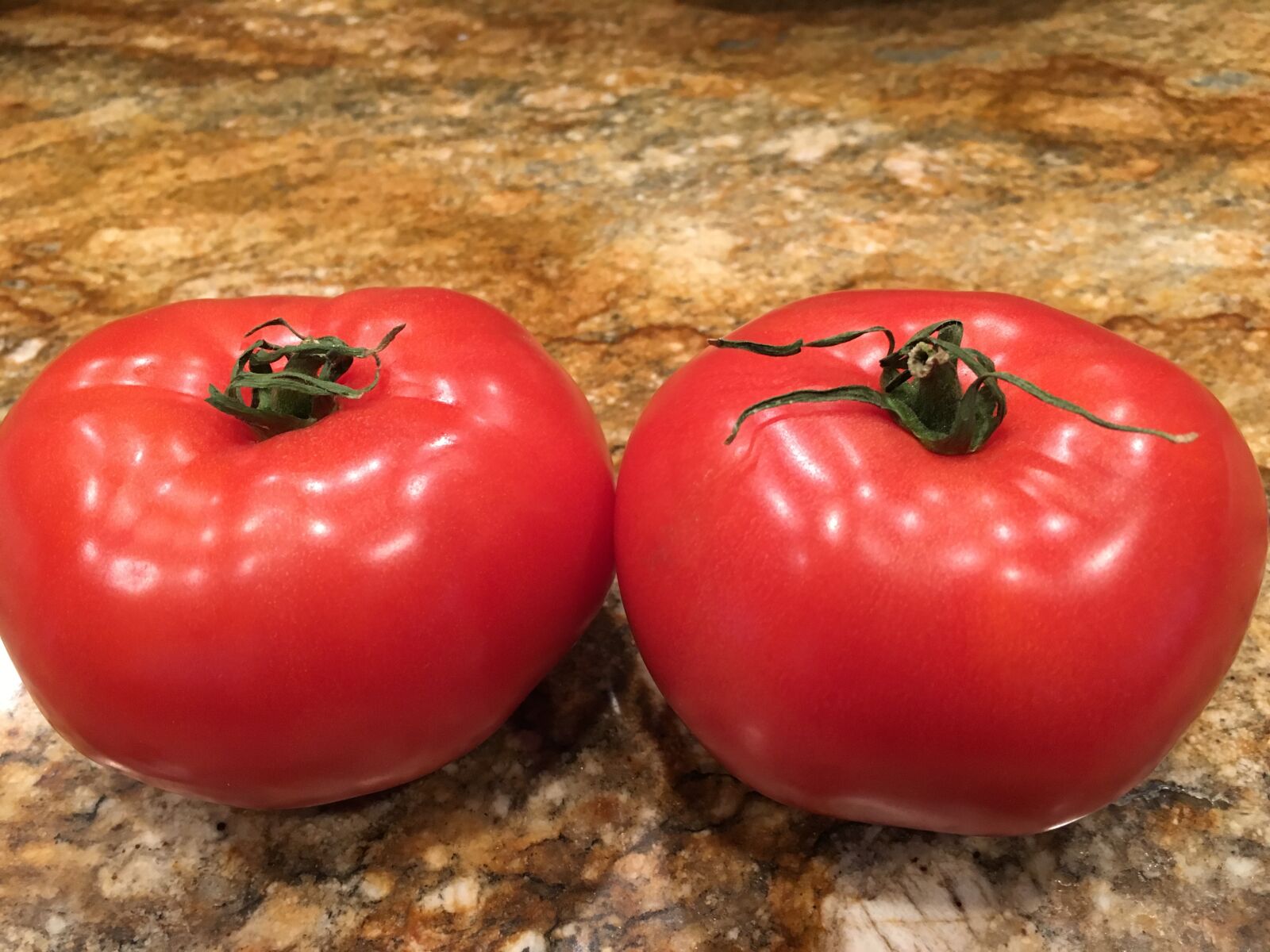 Apple iPhone 6s sample photo. Tomato, veggie, fresh photography