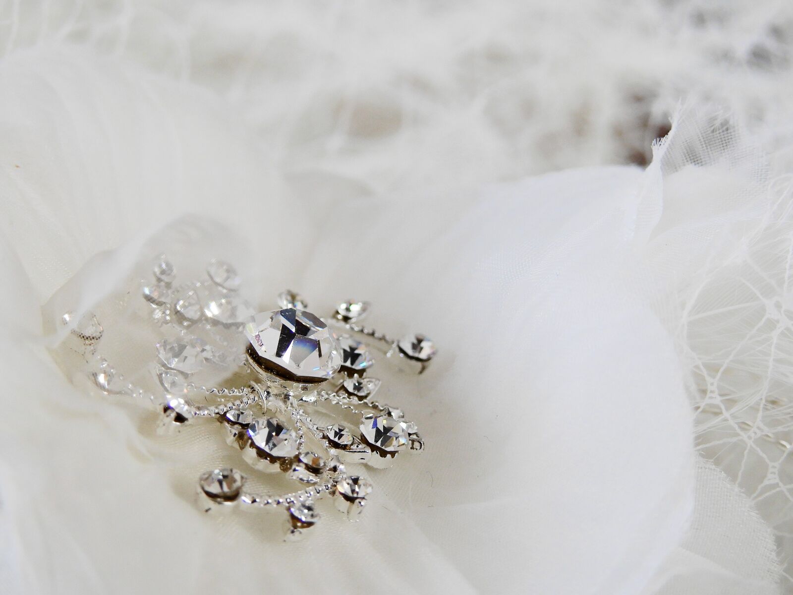 Nikon Coolpix P900 sample photo. Jewellery, deco, decoration photography