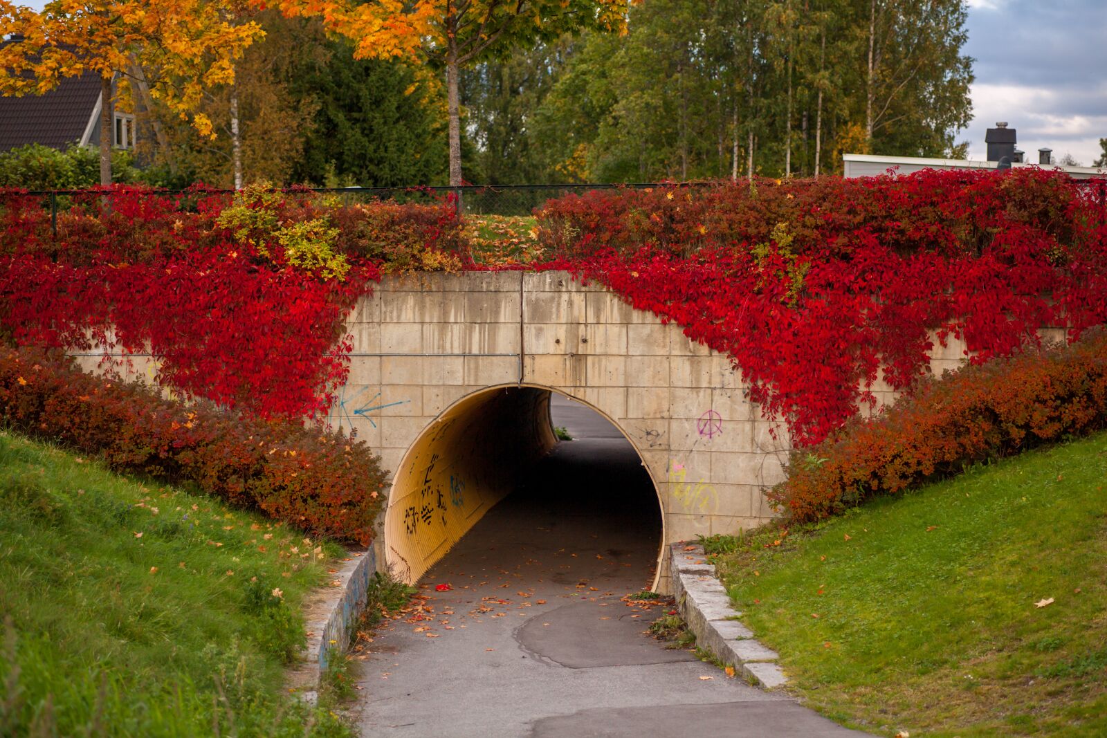 Canon EOS 5D Mark II sample photo. Autumn, fall, nature photography