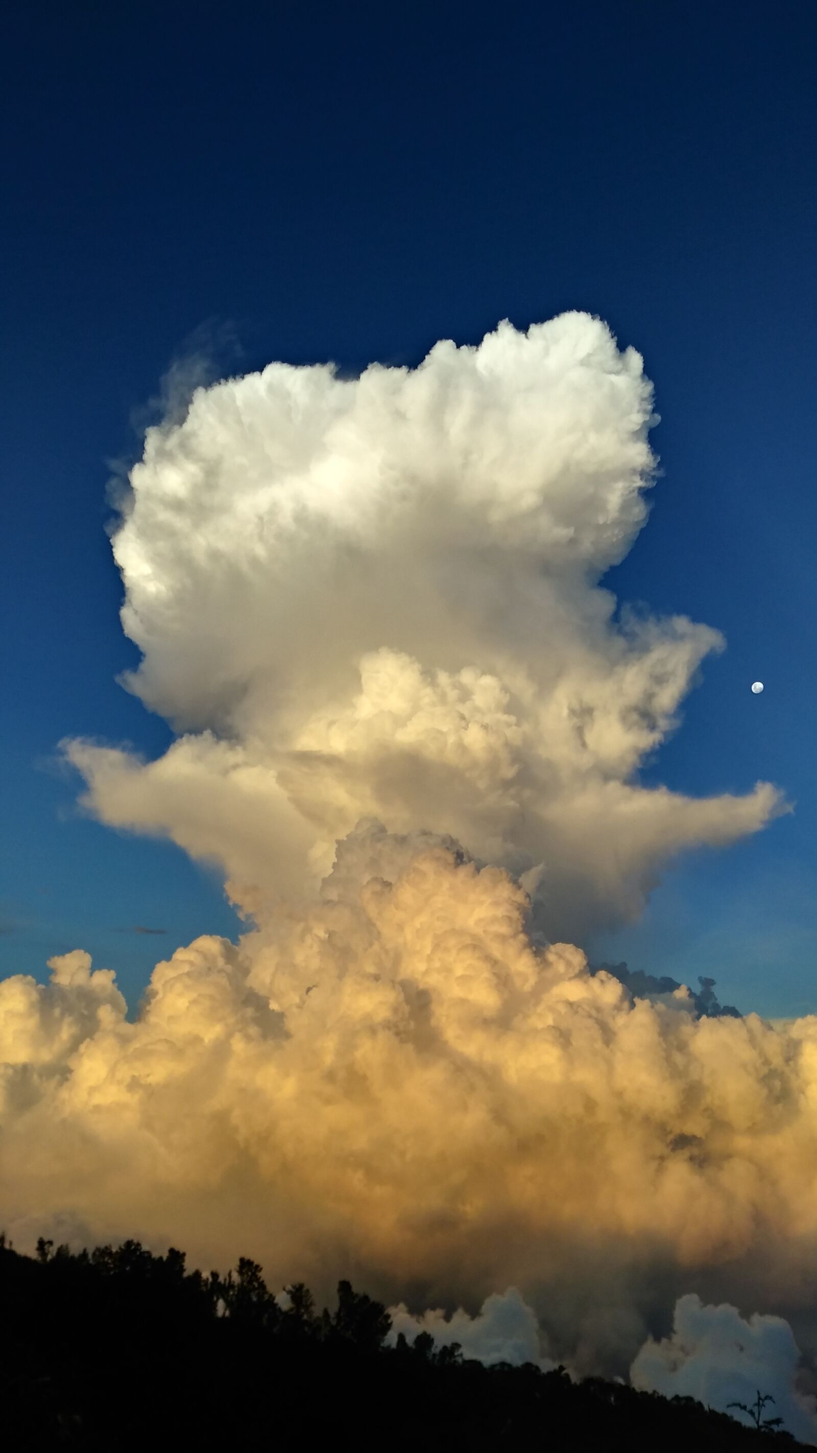 LG Q6 sample photo. Mushroom, clouds, explosion photography