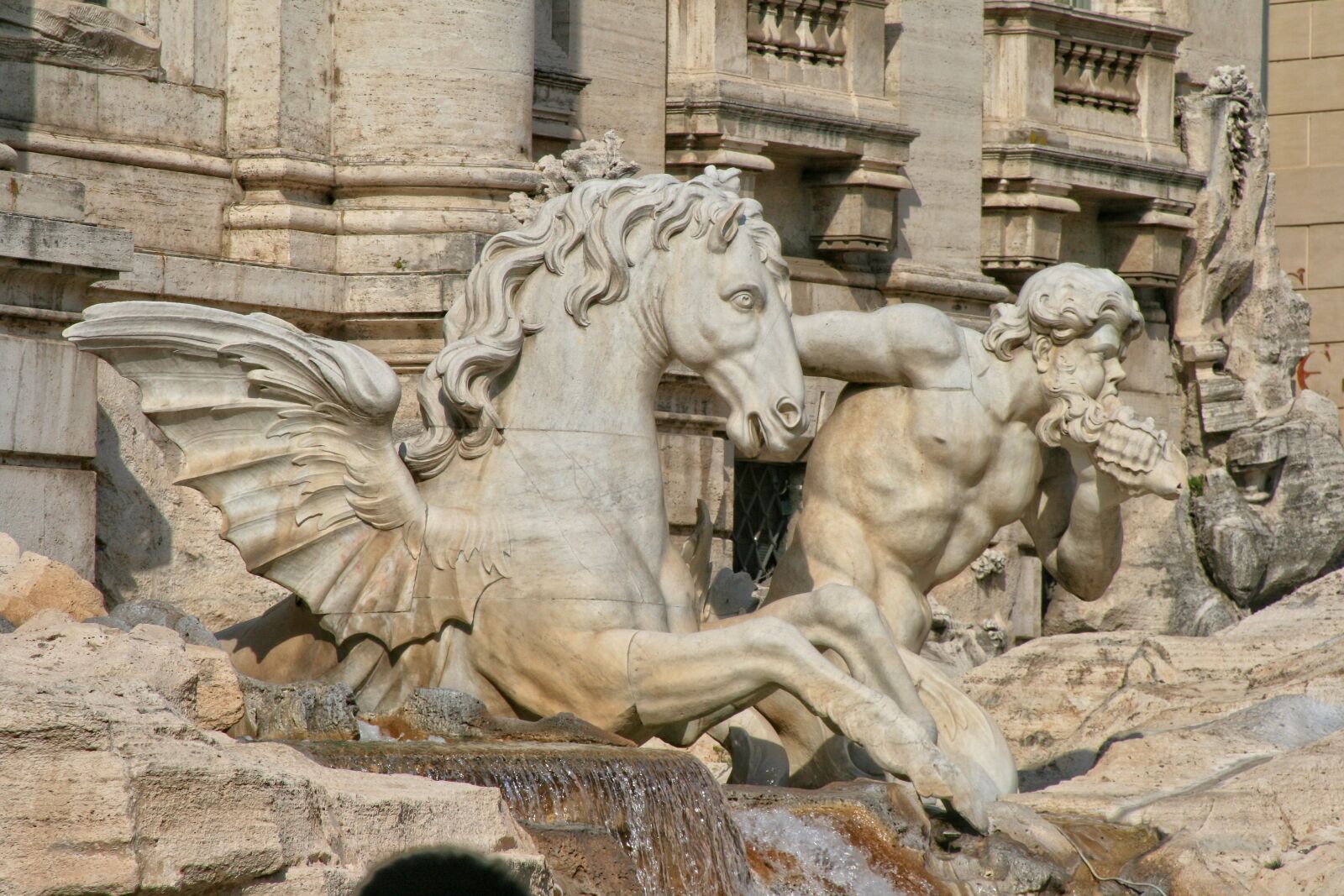 Canon EOS 400D (EOS Digital Rebel XTi / EOS Kiss Digital X) sample photo. Italy, rome, fountain radicchio photography