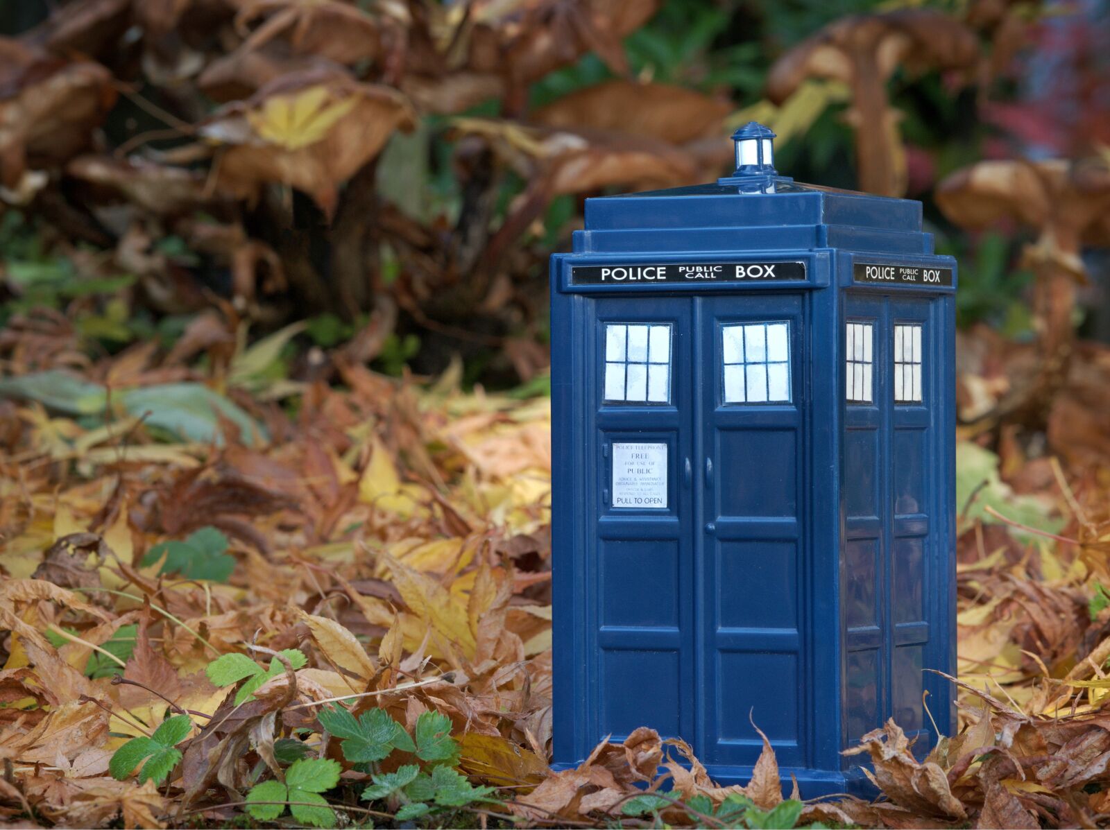 Olympus OM-D E-M5 sample photo. Tardis, dr who, doctor photography