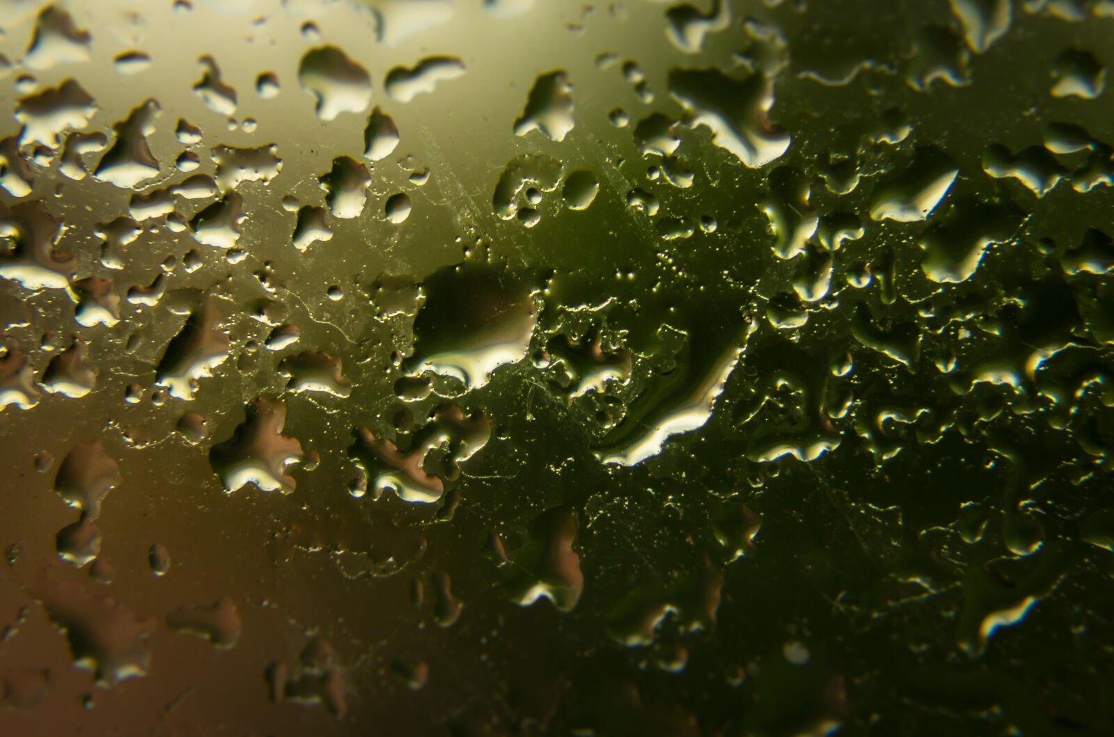 Canon EOS 600D (Rebel EOS T3i / EOS Kiss X5) sample photo. Drops, glass, water, window photography