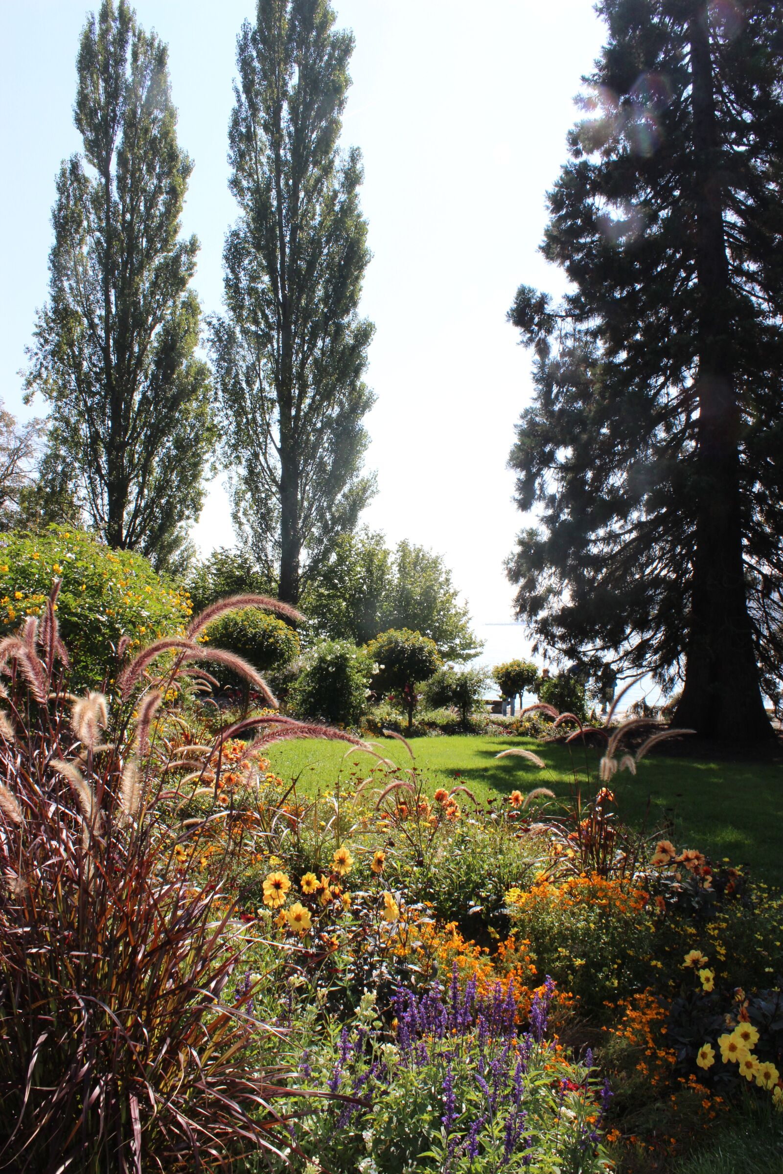 Canon EOS 600D (Rebel EOS T3i / EOS Kiss X5) sample photo. Mainau, island, lake constance photography