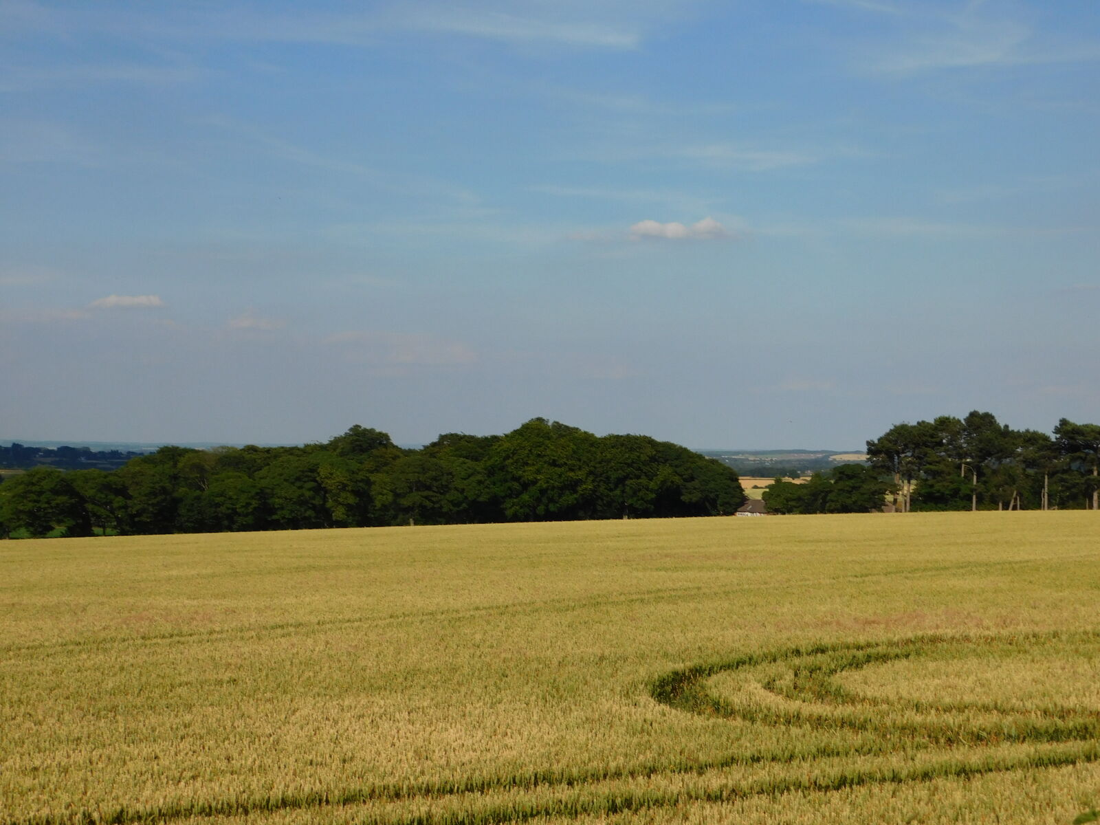 Nikon Coolpix B500 sample photo. Farm, farmer, crops photography
