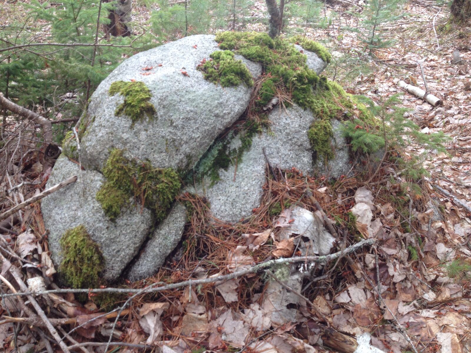 iPhone 4S back camera 4.28mm f/2.4 sample photo. Boulder, moss, nature, rocks photography