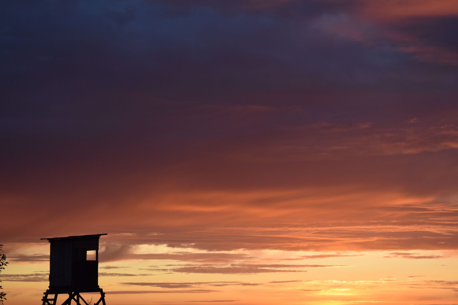 Nikon D3300 sample photo. Sunrise, sunset, hunter was photography