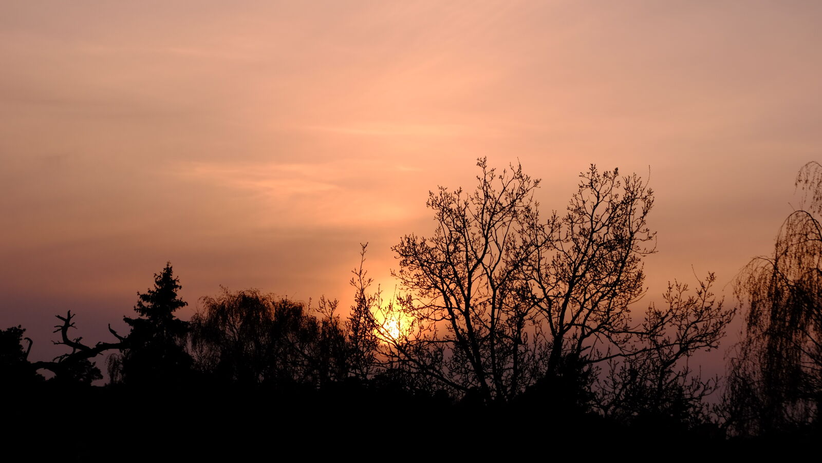 Fujifilm X-M1 sample photo. Fog, foggy, sun, sunset photography