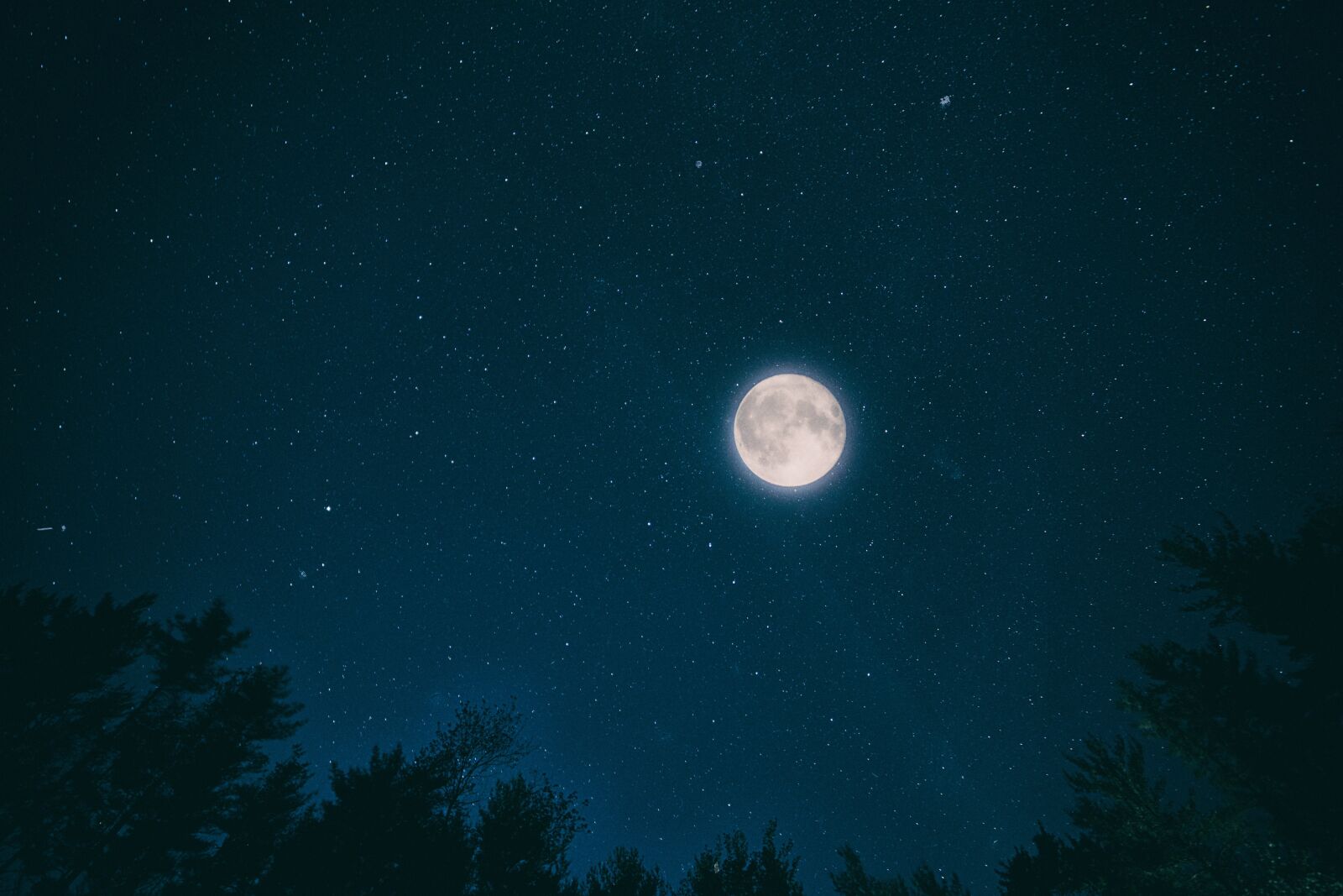 Olympus OM-D E-M10 sample photo. Night, sky, month photography