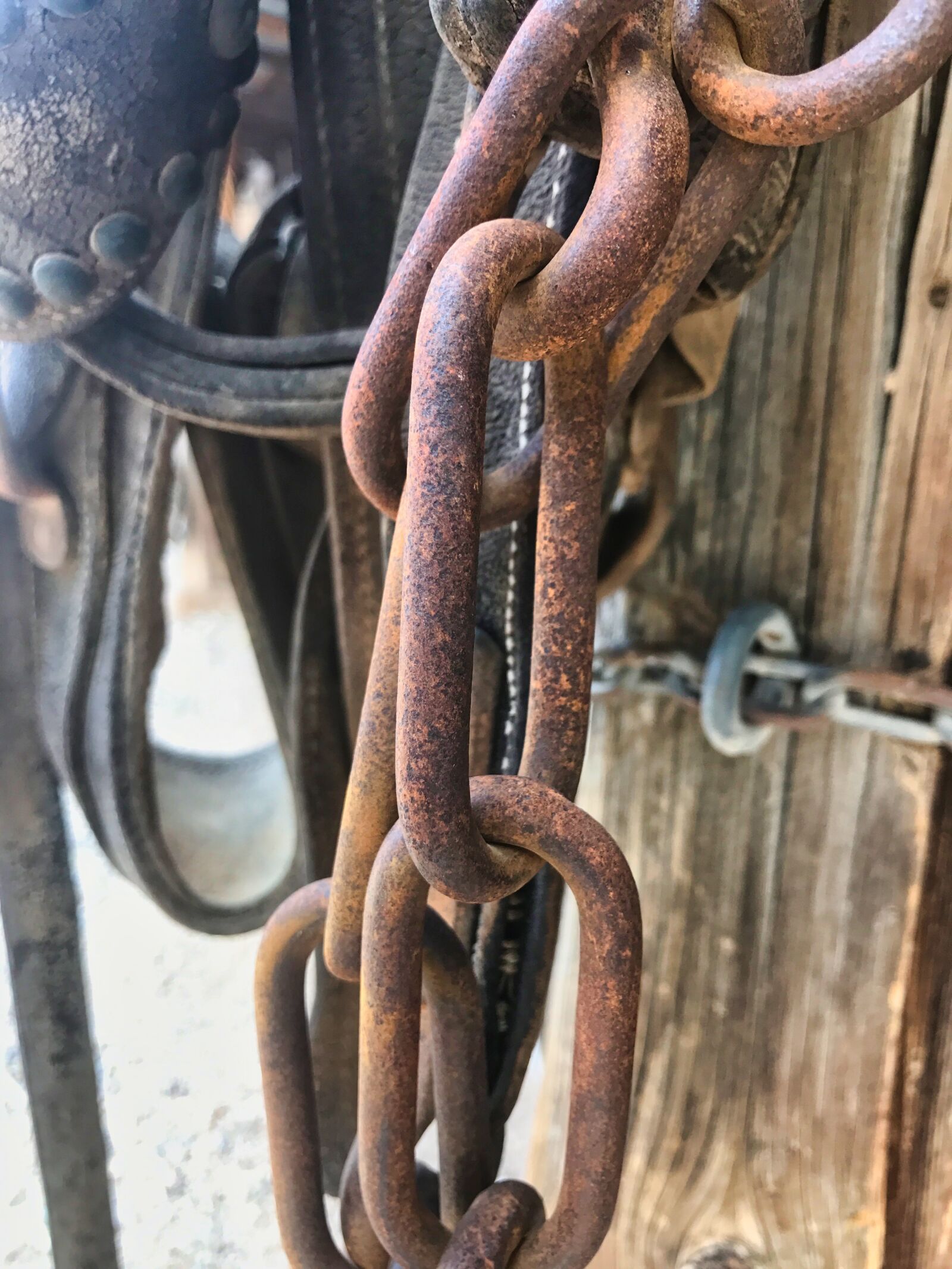 iPhone 7 back camera 3.99mm f/1.8 sample photo. Rusty, chain, rust photography