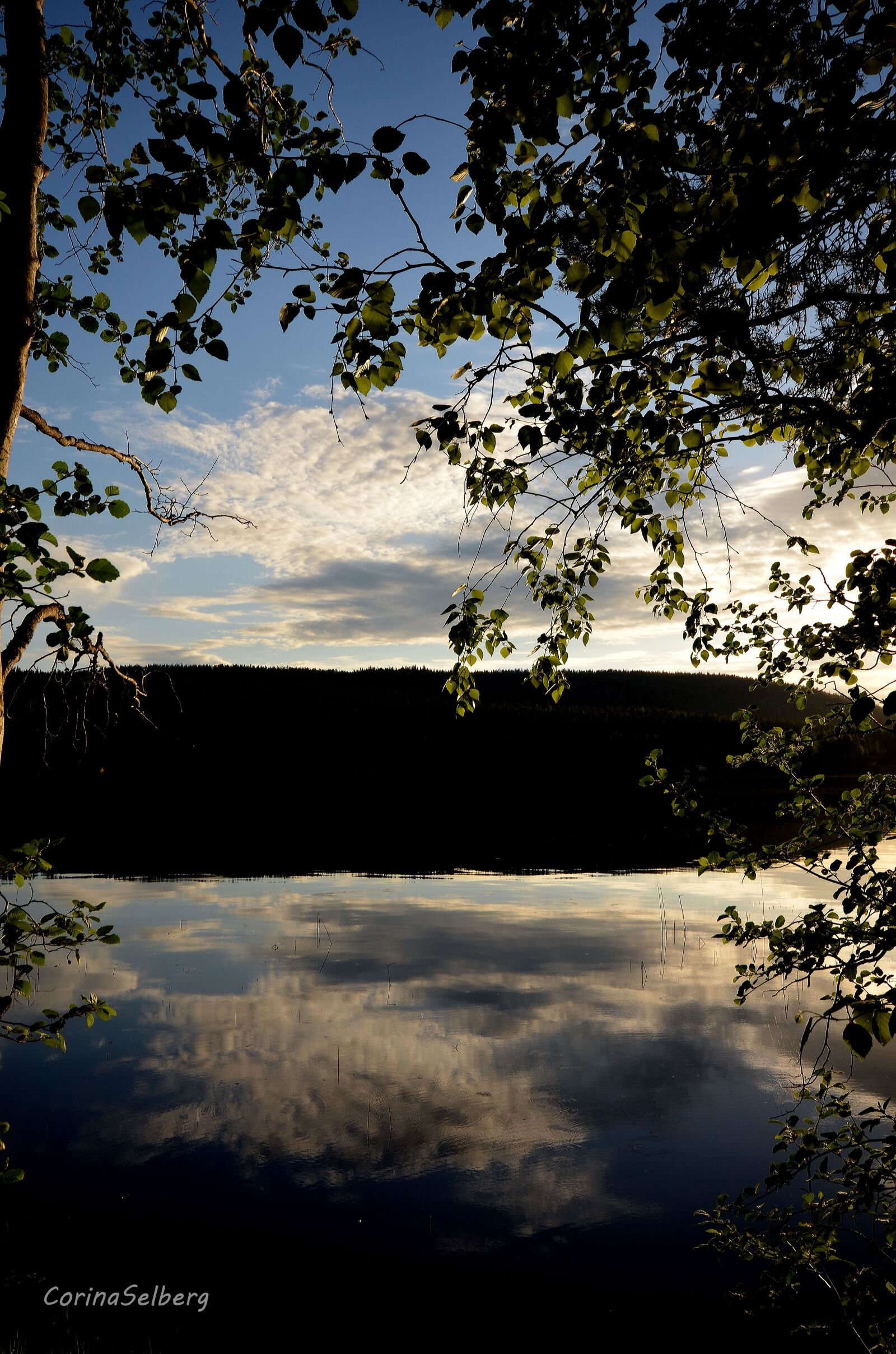 Nikon D5100 sample photo. Water, mirroring, lake photography