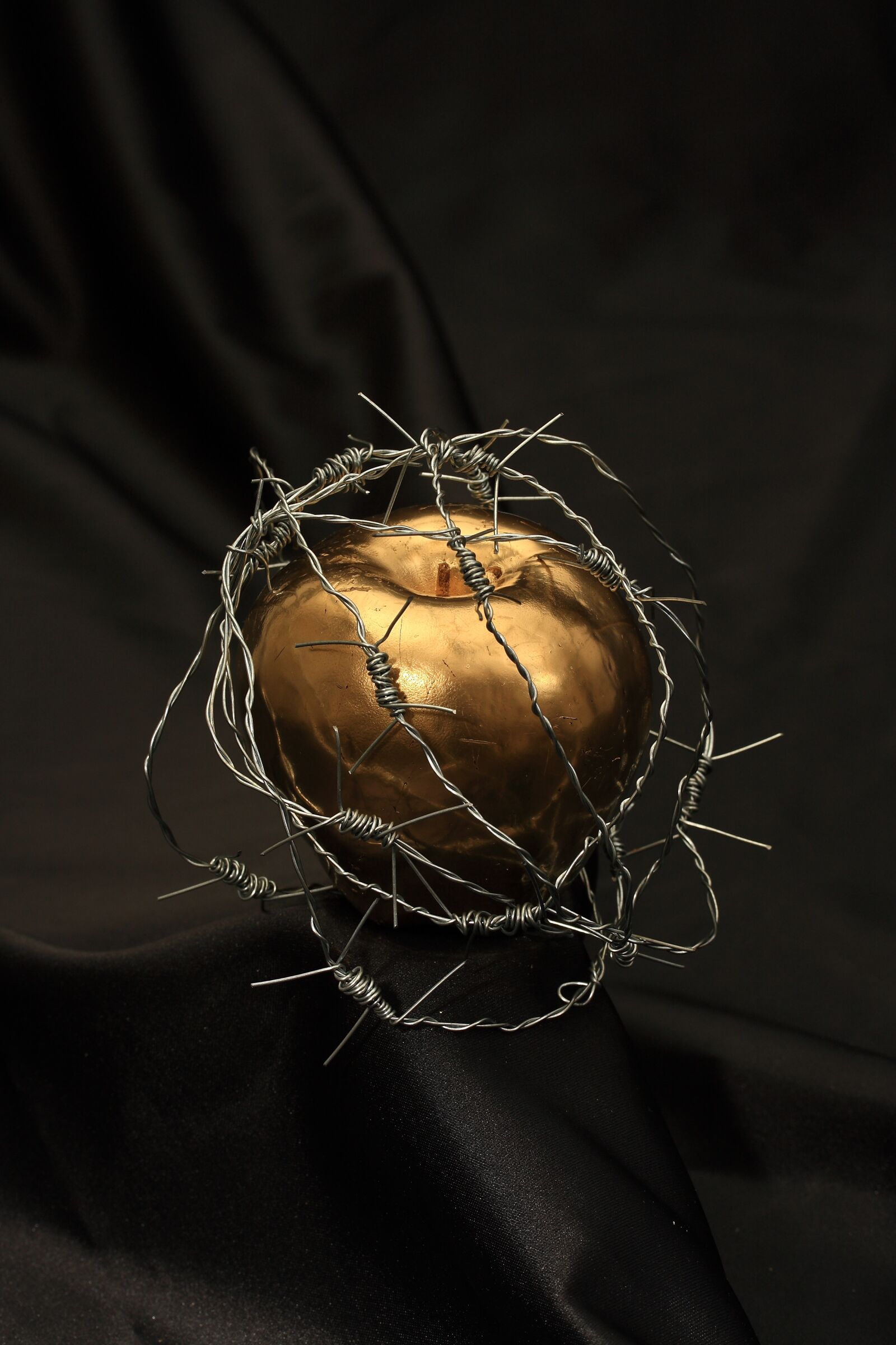 Canon EOS 40D sample photo. Apple, dea, gold photography